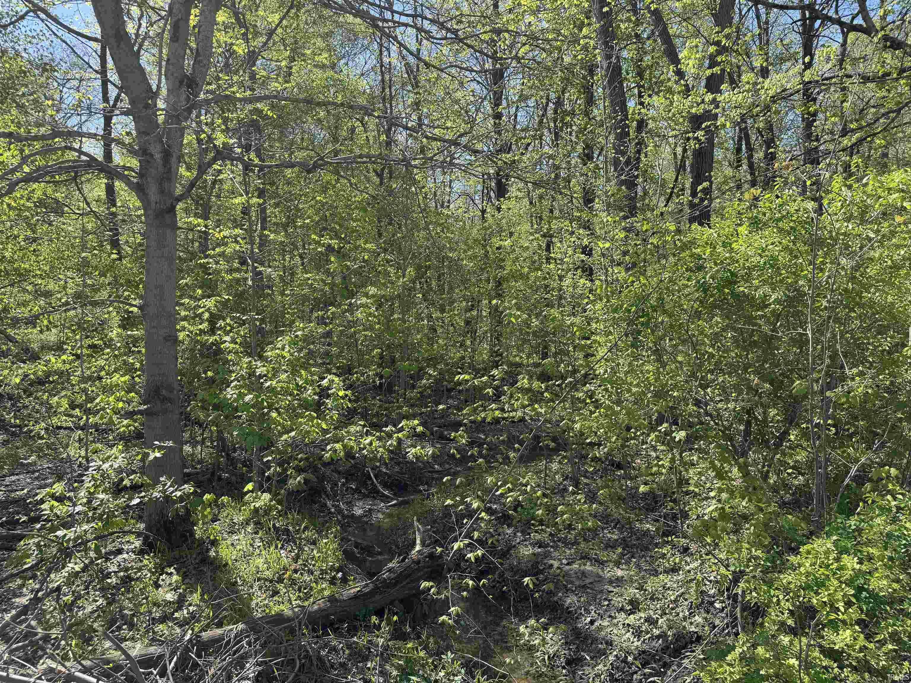 Photo 8 of TBD W Cleveland Road
