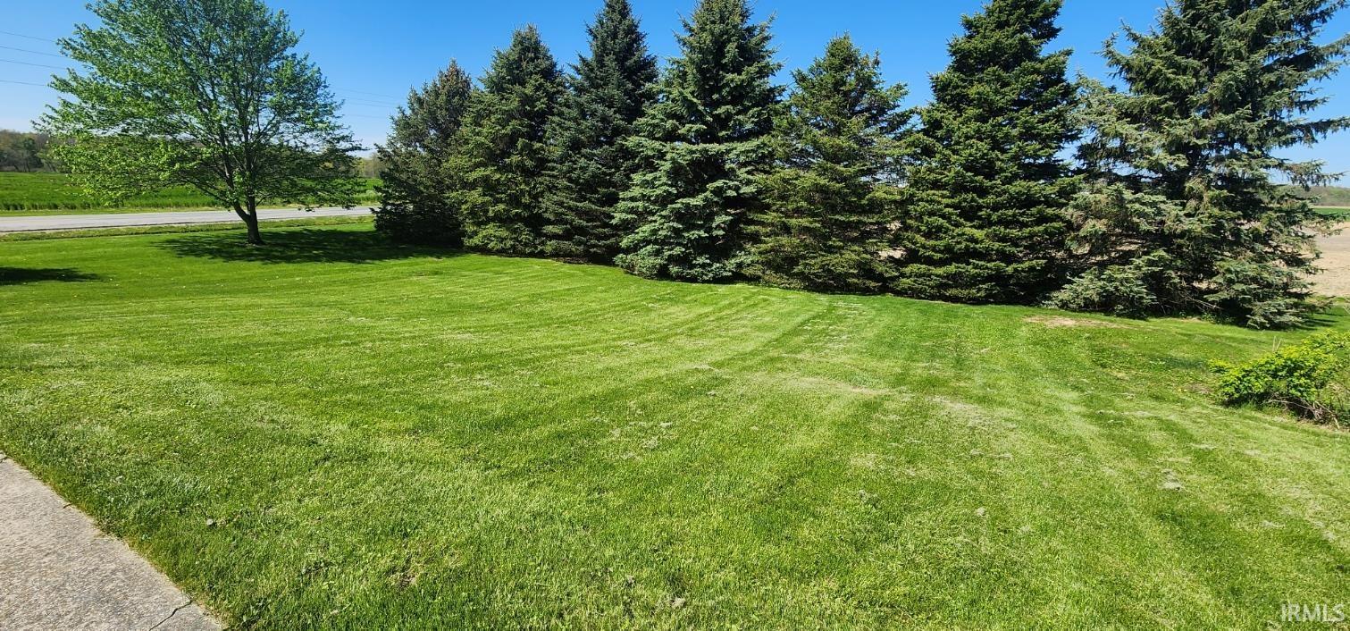 Expansive green lawn with mature evergreen trees bordering the property