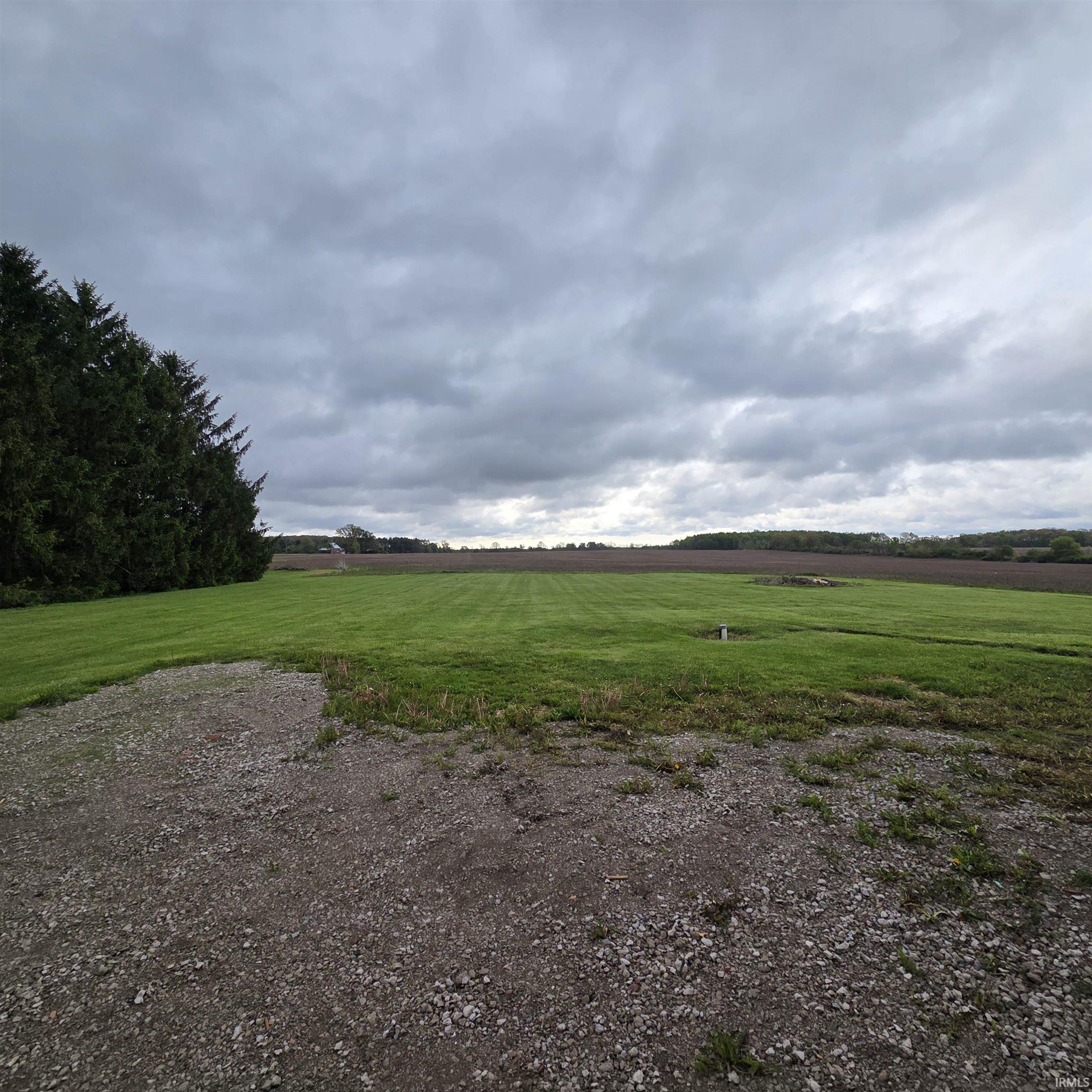 Expansive green lawn extending to a cultivated field, bordered by a line of mature evergreen trees