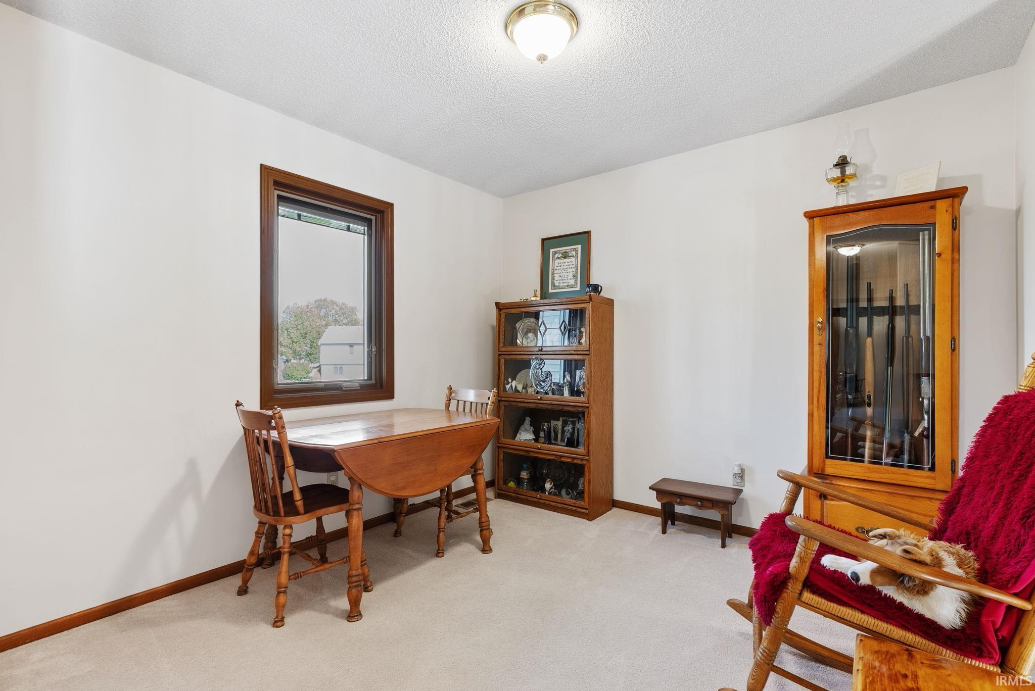 Bright room featuring plush carpet, a window with dark wood trim, white walls, and a ceiling-mounted light fixture
