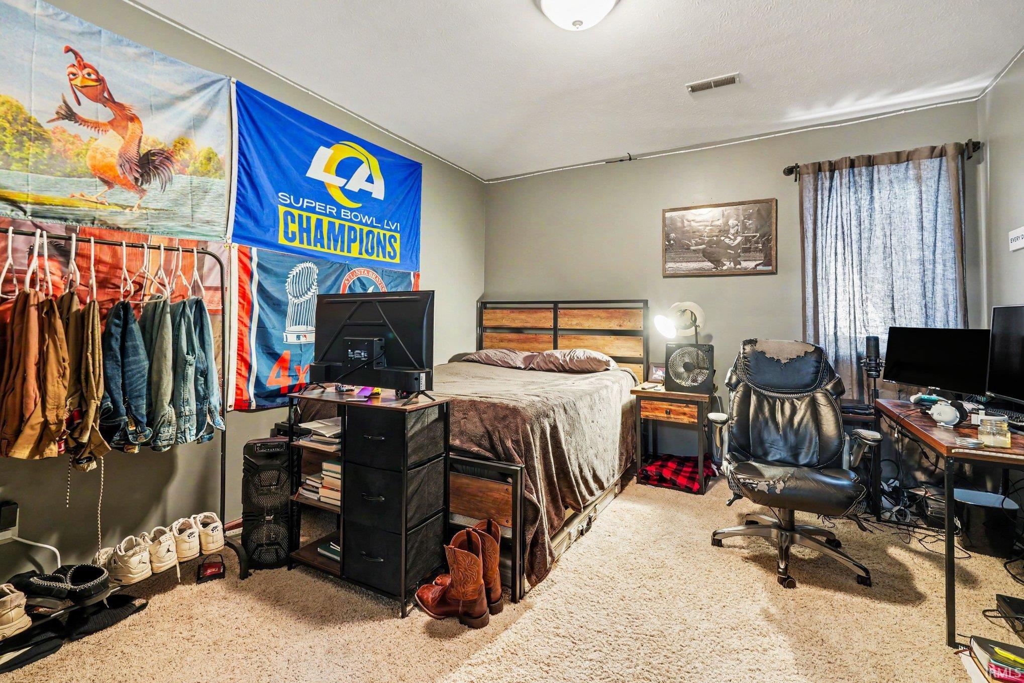 Lower level bedroom