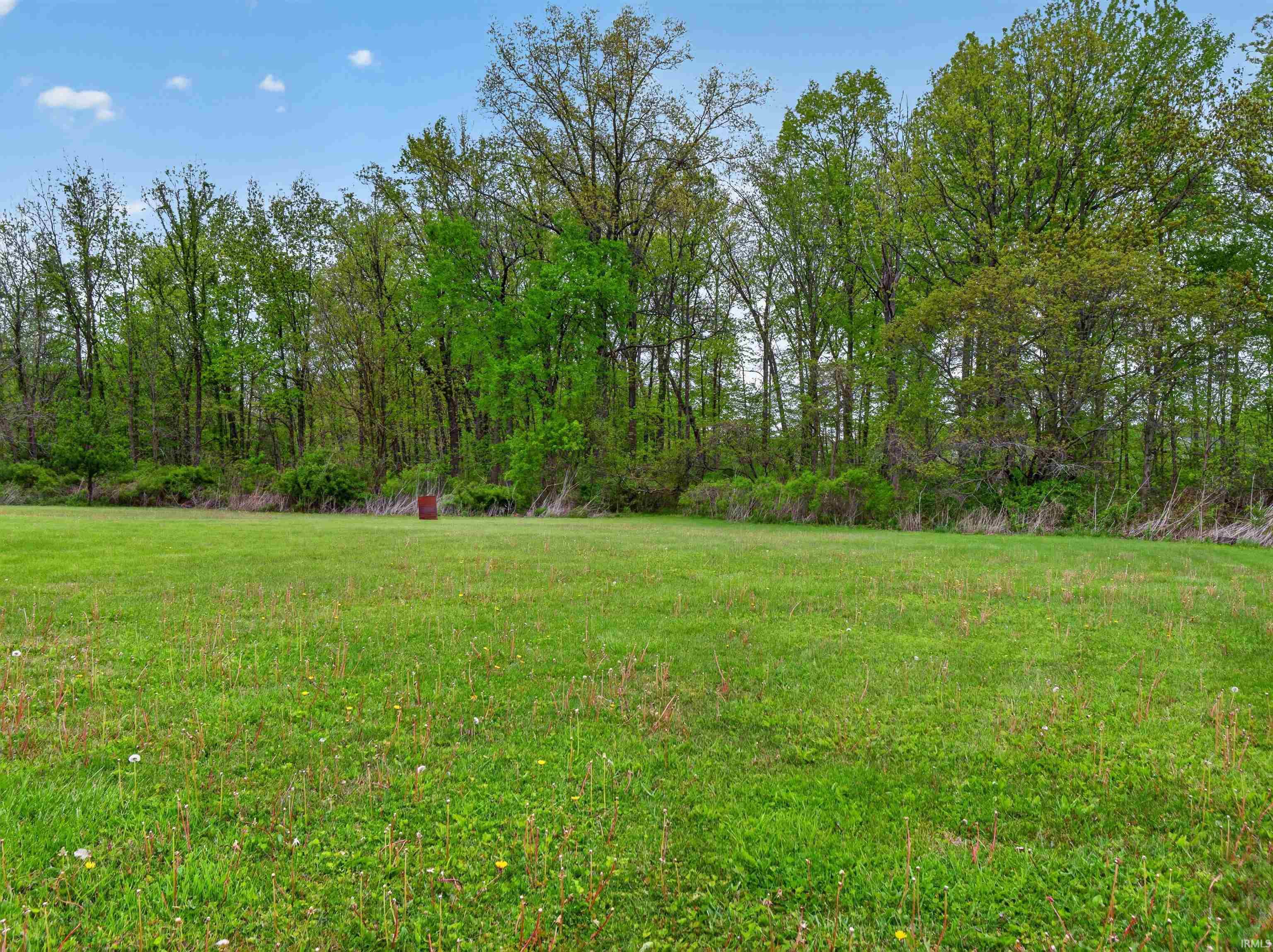 Expansive green lawn backed by a dense line of mature deciduous trees