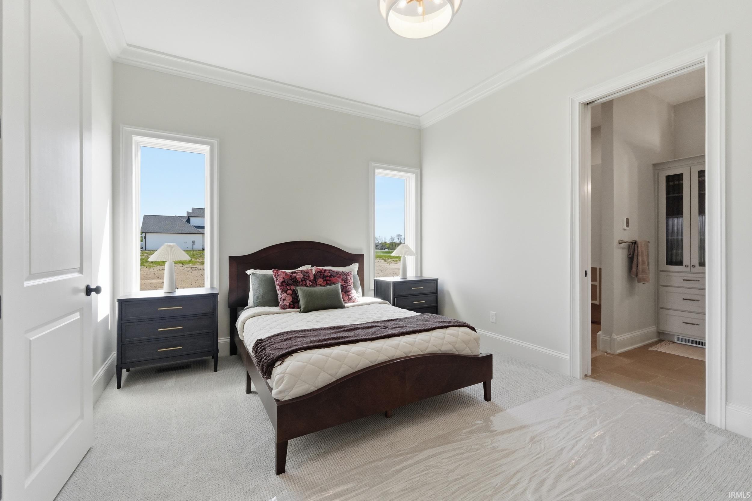 Light-filled room featuring plush carpeting and crown molding
