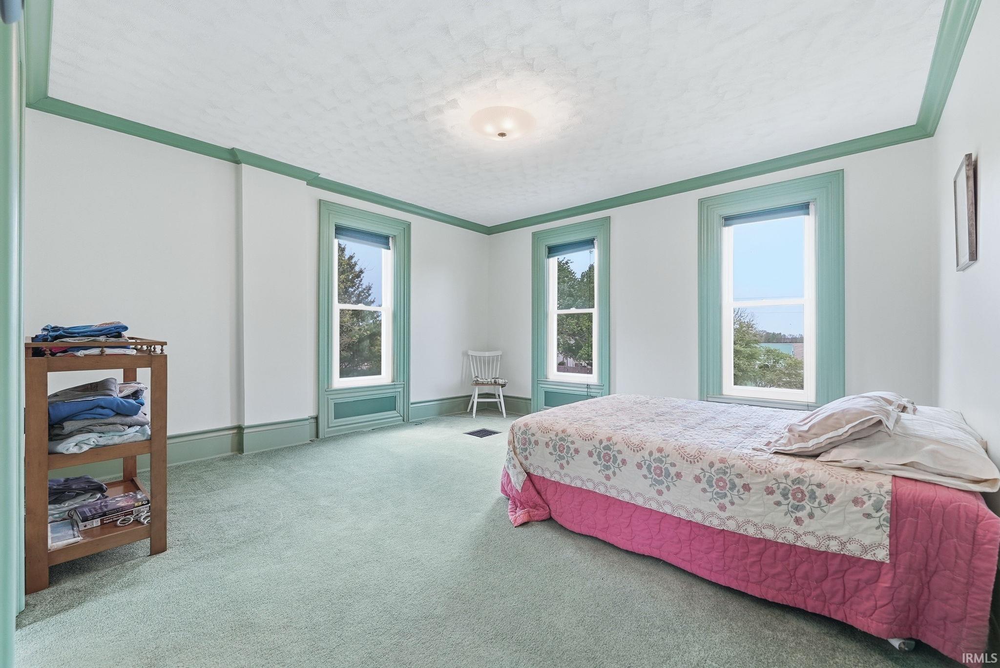 Bright interior space featuring a light green carpet, white walls, and prominent green trim