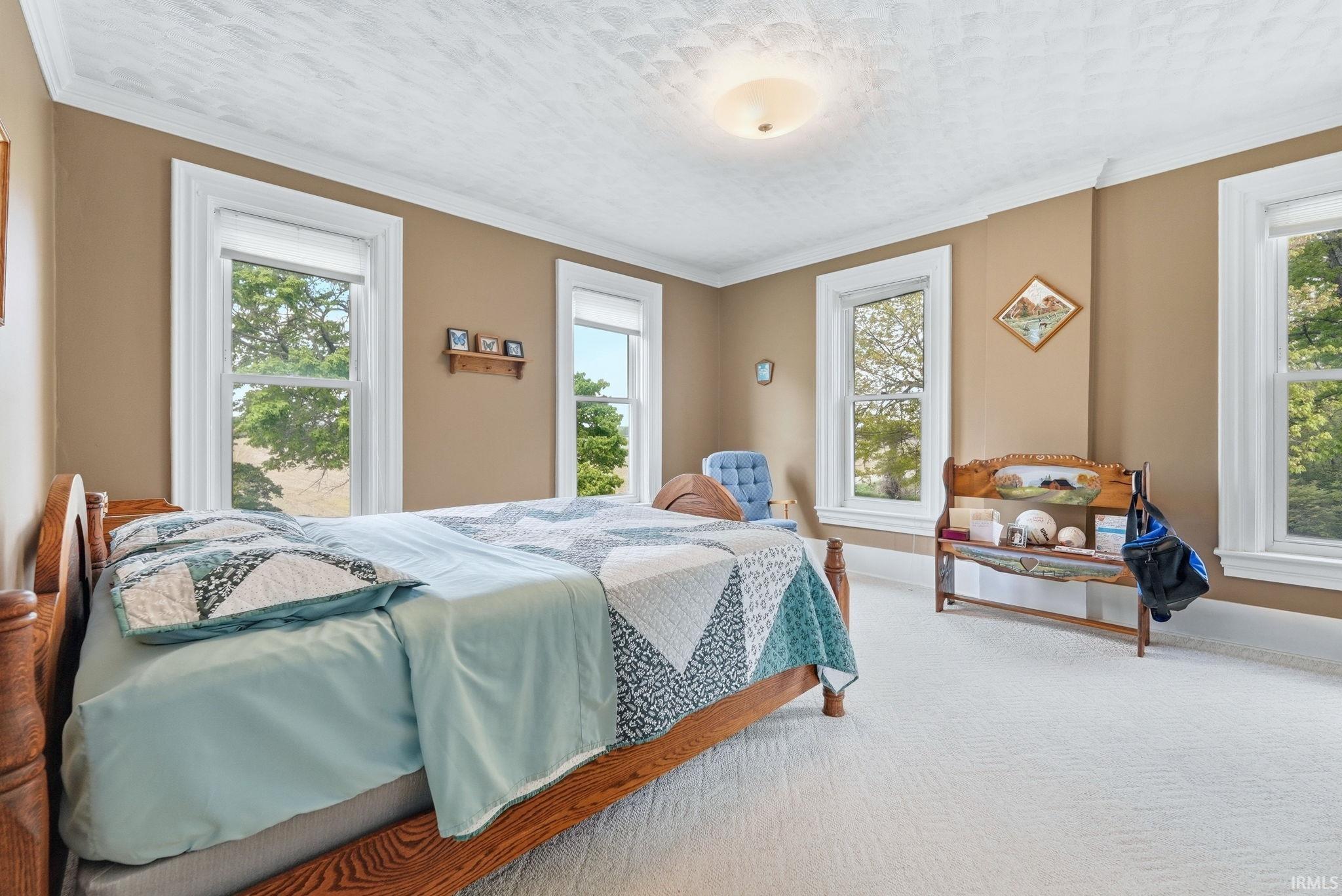 Neutral-toned walls feature white trim surrounding multiple windows