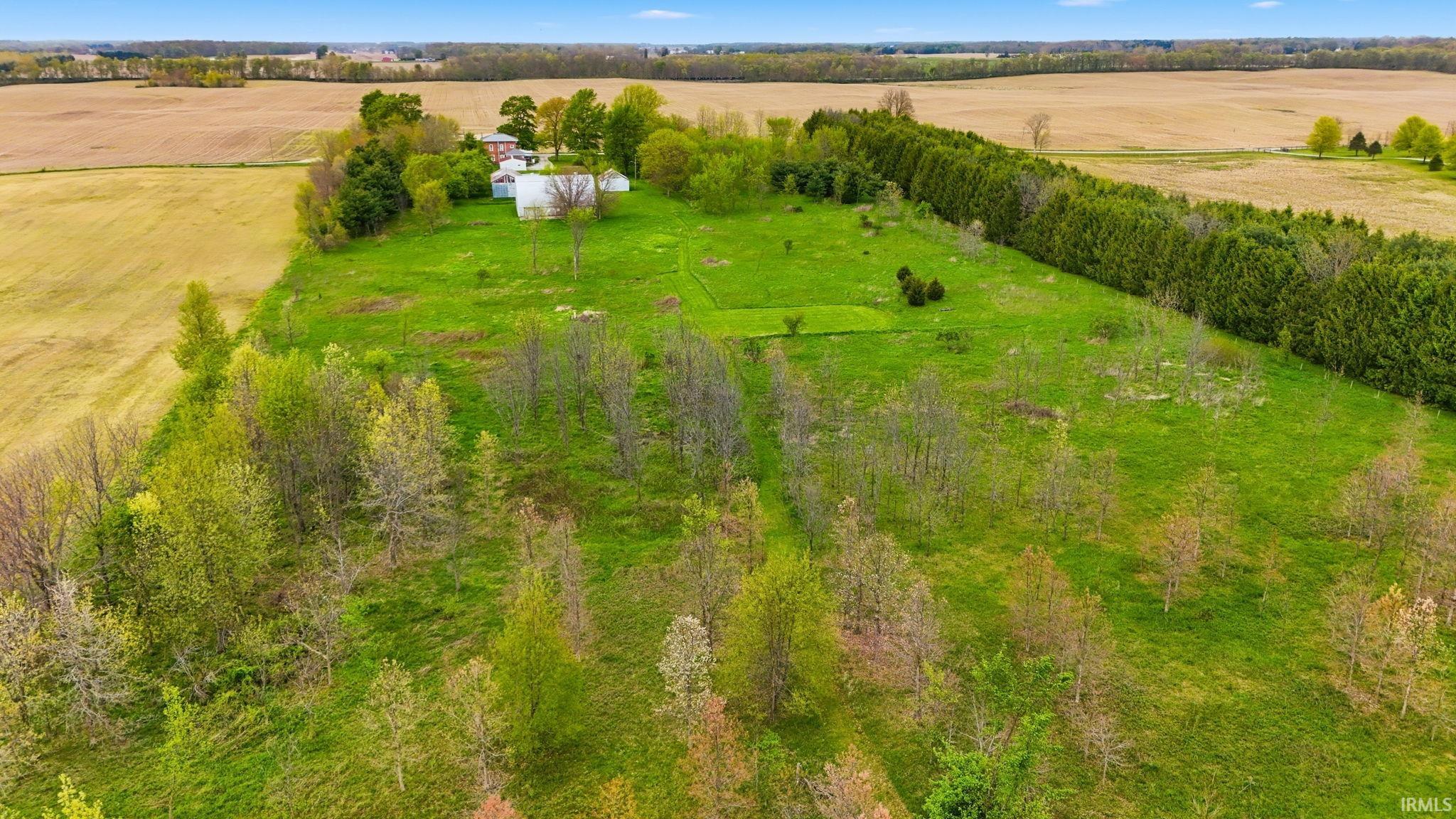 Expansive property featuring verdant fields, a privacy hedge, scattered deciduous trees, and distant structures