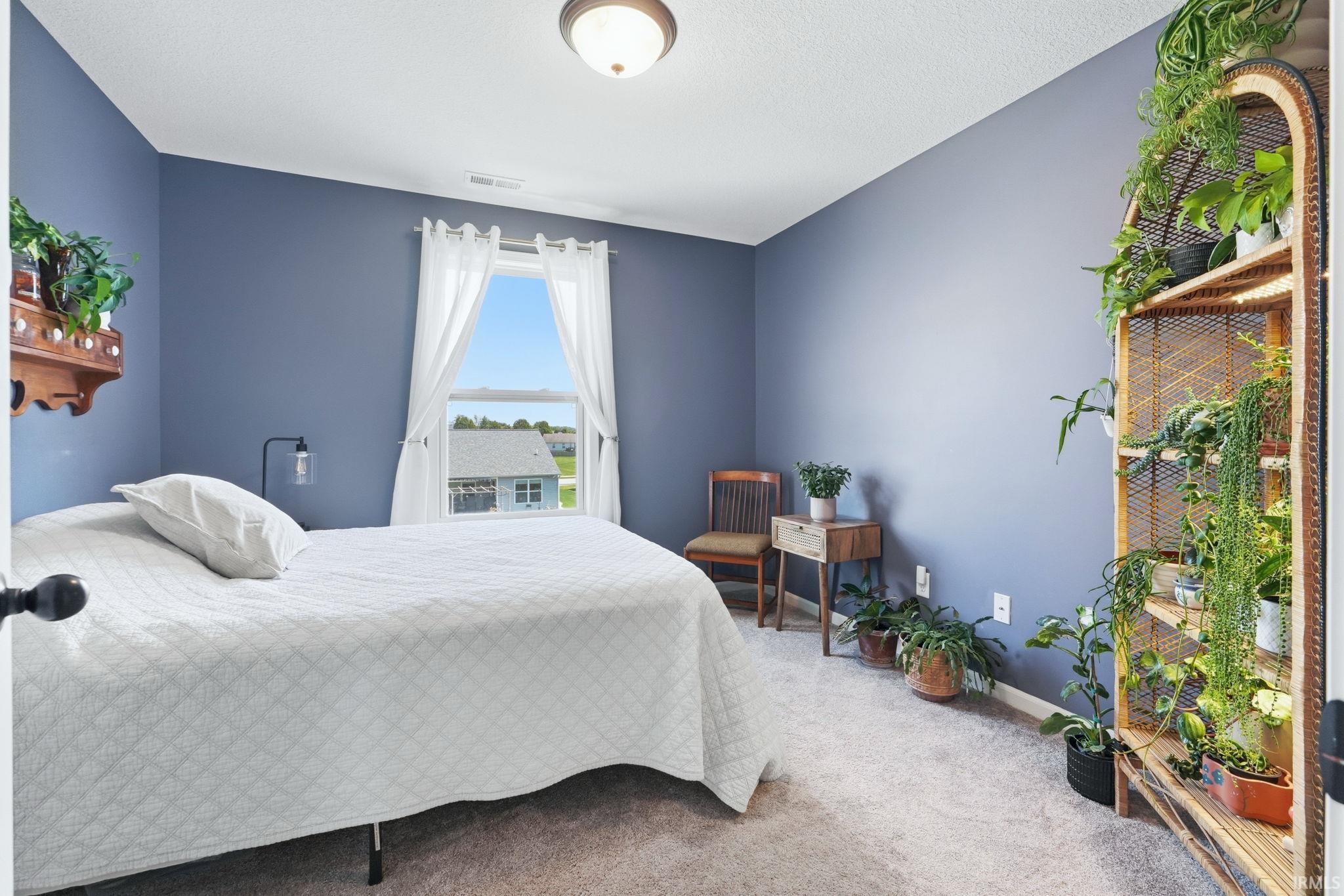 Spacious interior room featuring a large window with white drapes, neutral carpet flooring, and a ceiling-mounted light fixture