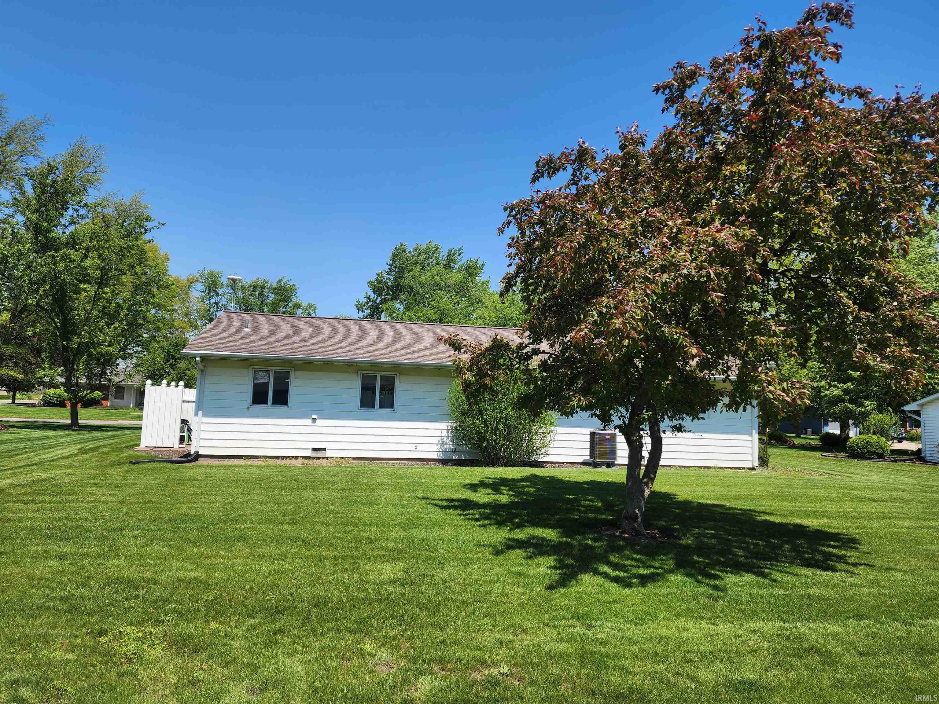 Expansive green lawn with a mature deciduous tree