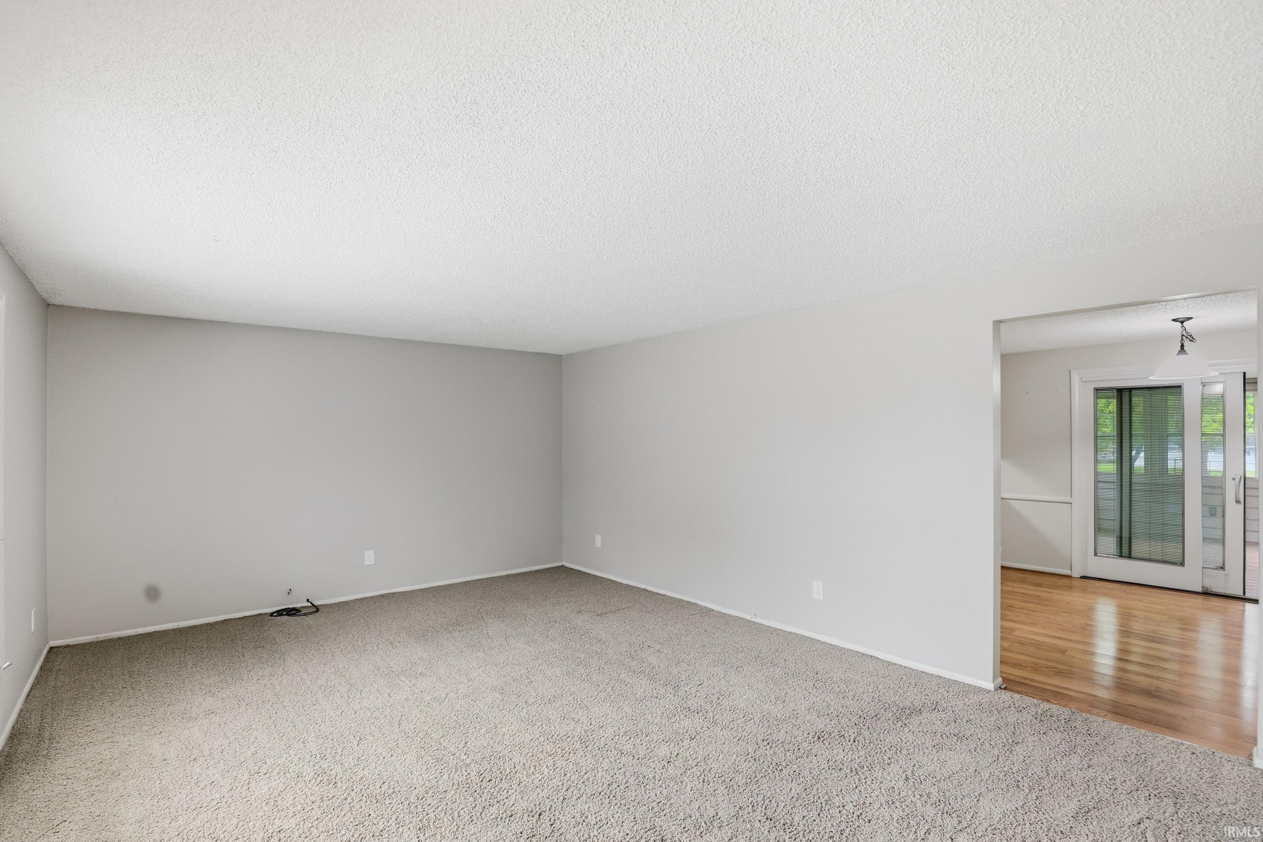 Spacious carpeted room with light gray wall paint and white trim, featuring an entryway opening to a room with wood flooring and sliding glass doors