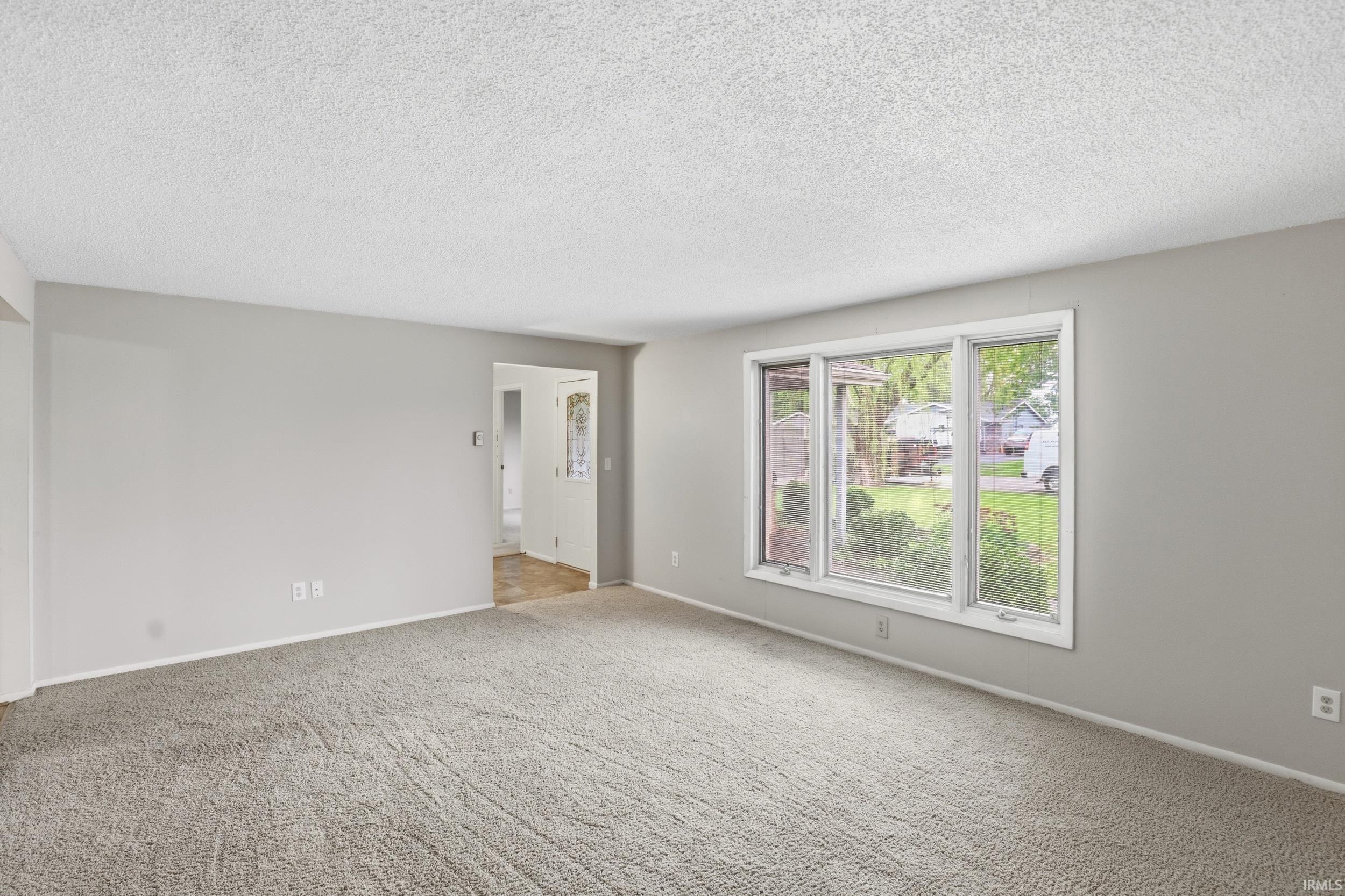 Spacious room featuring neutral grey wall paint, light-colored textured carpeting, and a large multi-pane window with white trim