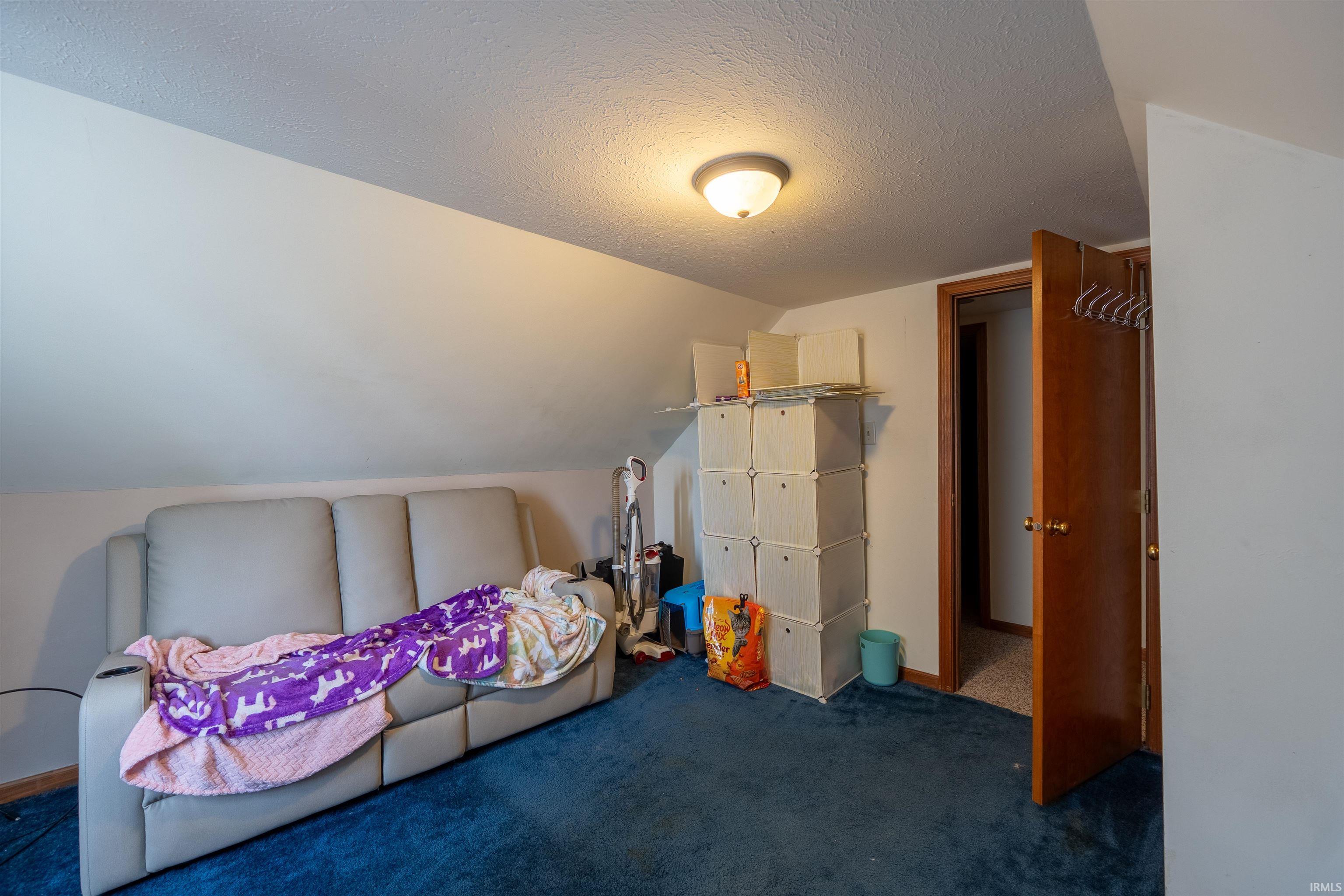 Carpeted room with a ceiling-mounted light fixture, white walls, and a wood-finish door frame