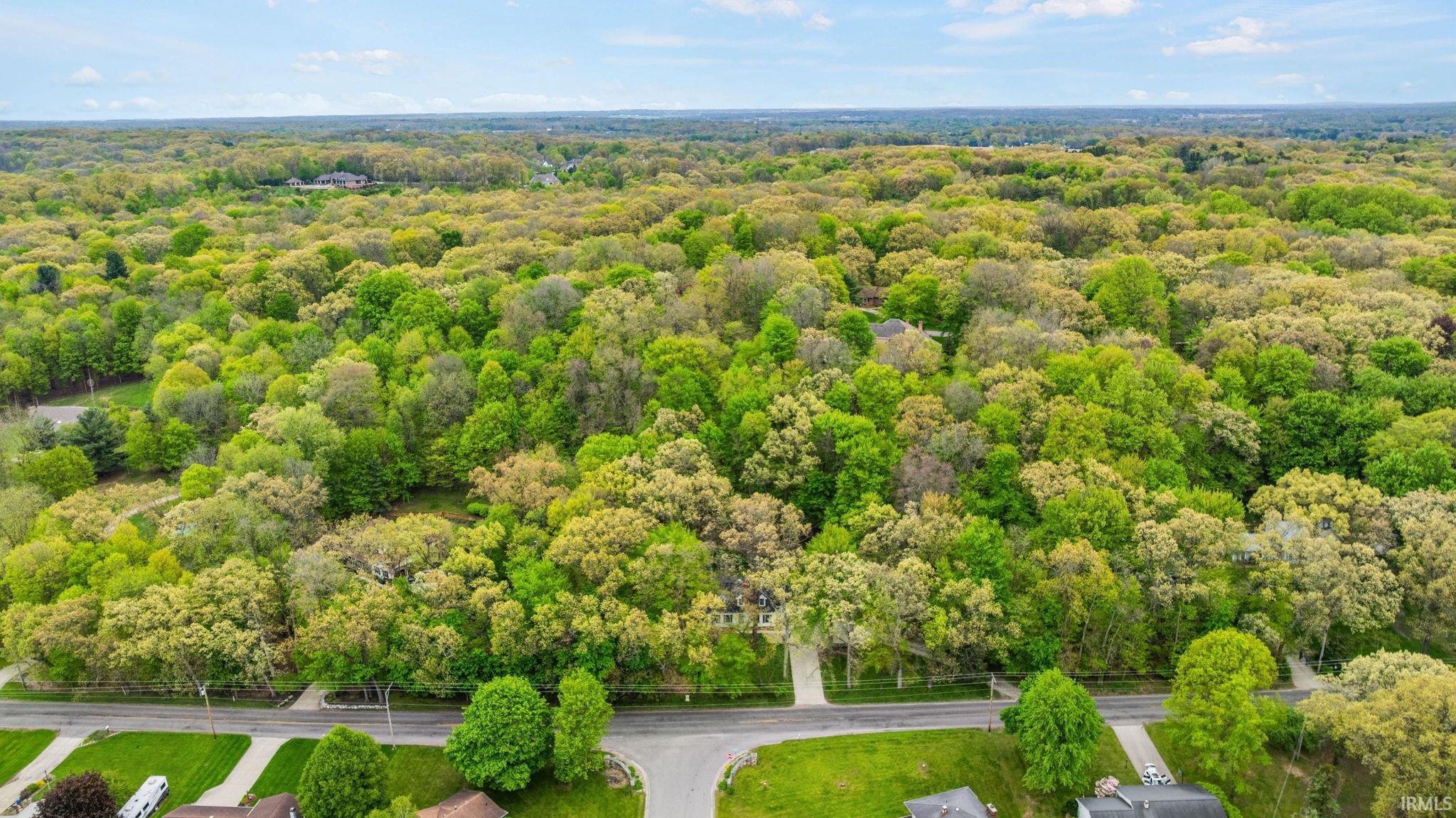 Expansive tree canopy surrounding residential properties