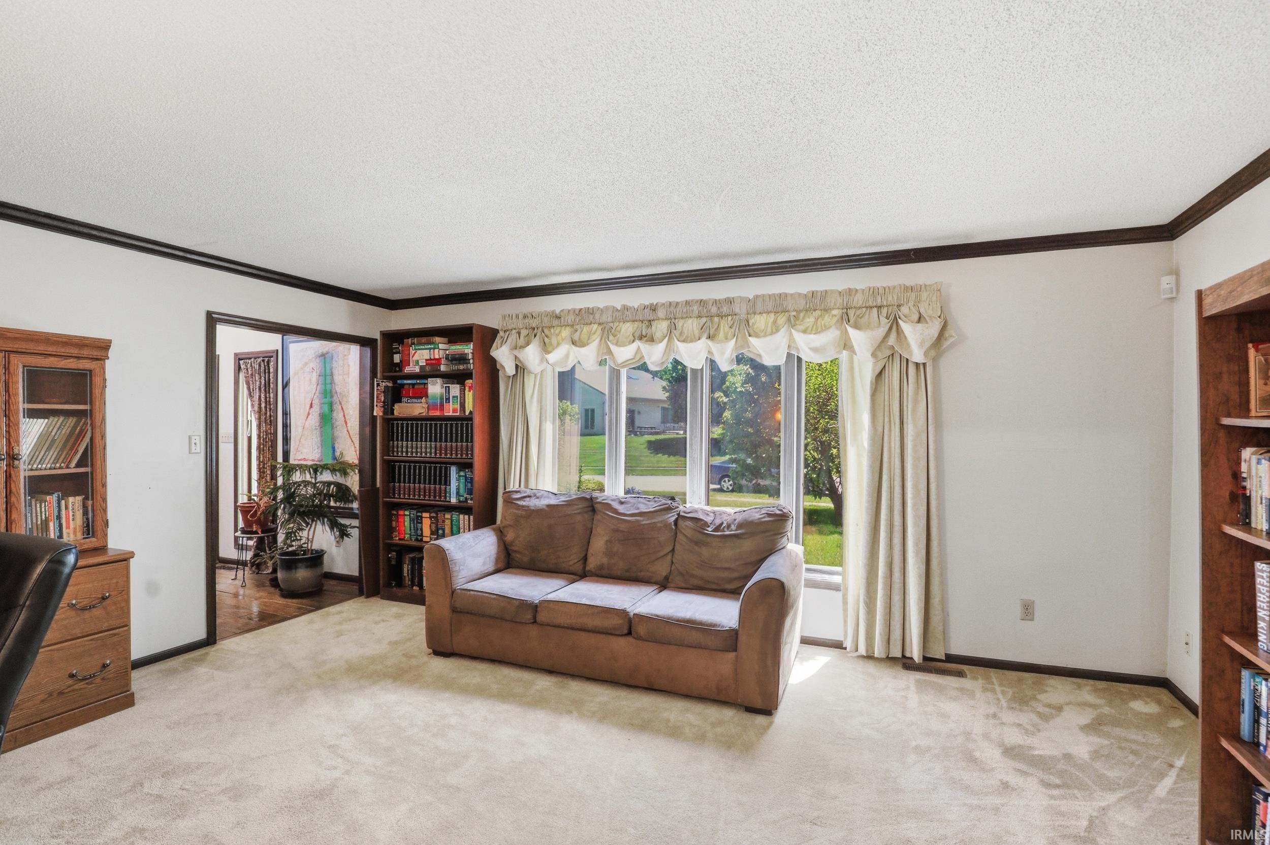 Carpeted room featuring a large picture window, dark wood trim, and built-in shelving