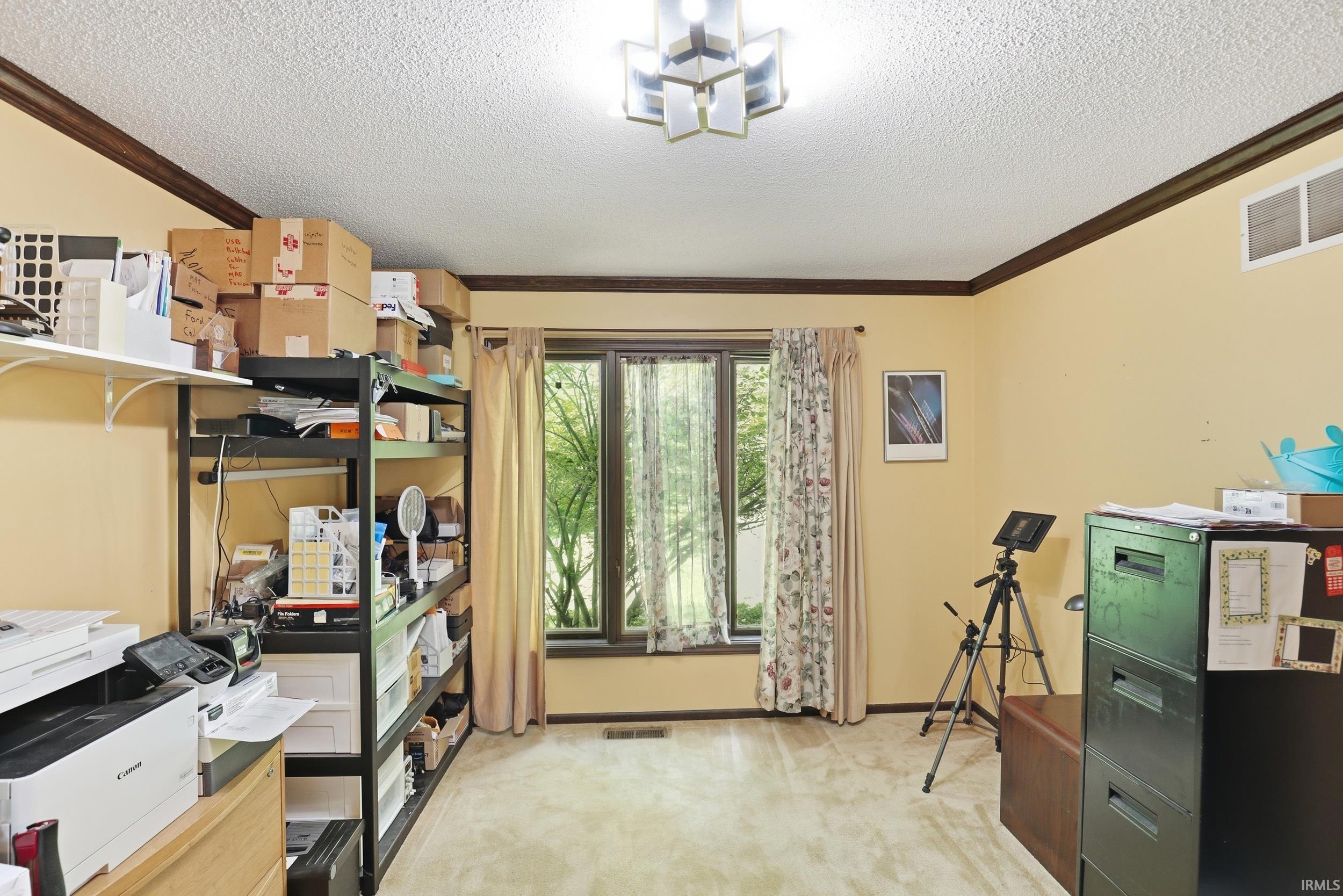 Neutral-toned room featuring a window with dark trim, light beige carpeting, and contrasting dark baseboards and crown molding