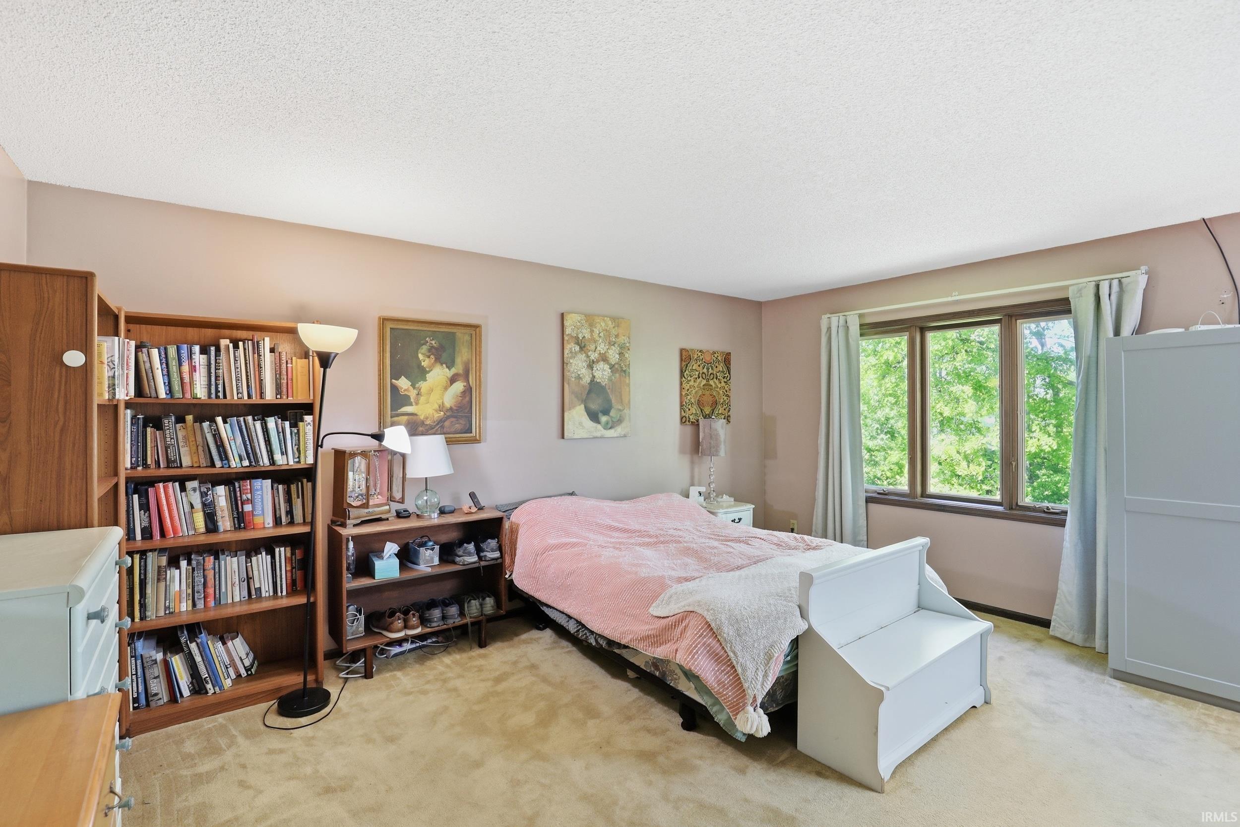 Carpeted room with a multi-pane window and light-colored walls