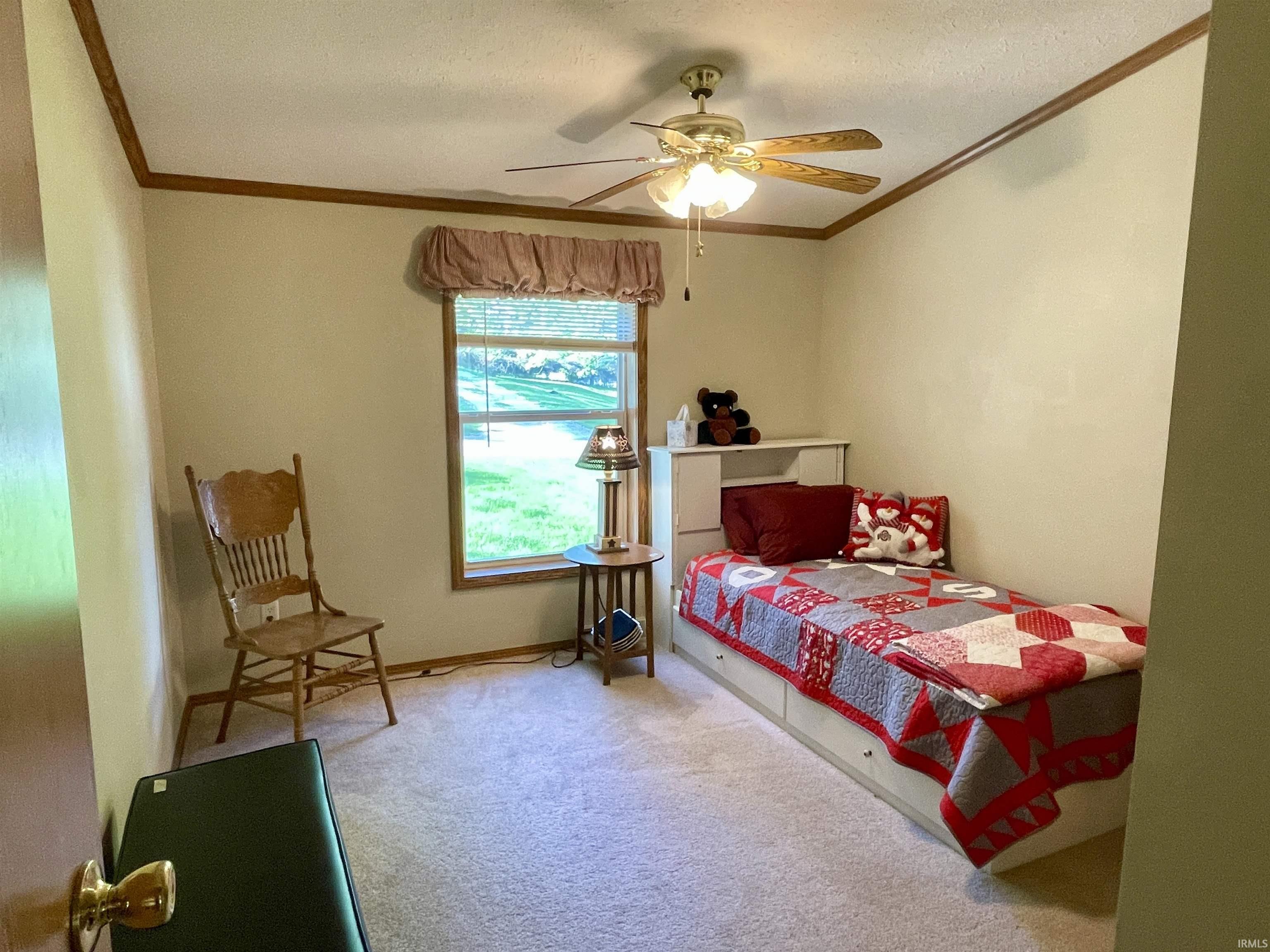 Carpeted room featuring a ceiling fan with light fixture, wood trim, and a window providing natural light