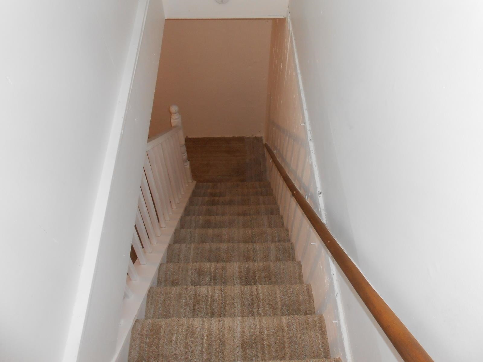 Carpeted staircase with white balusters and a wood handrail