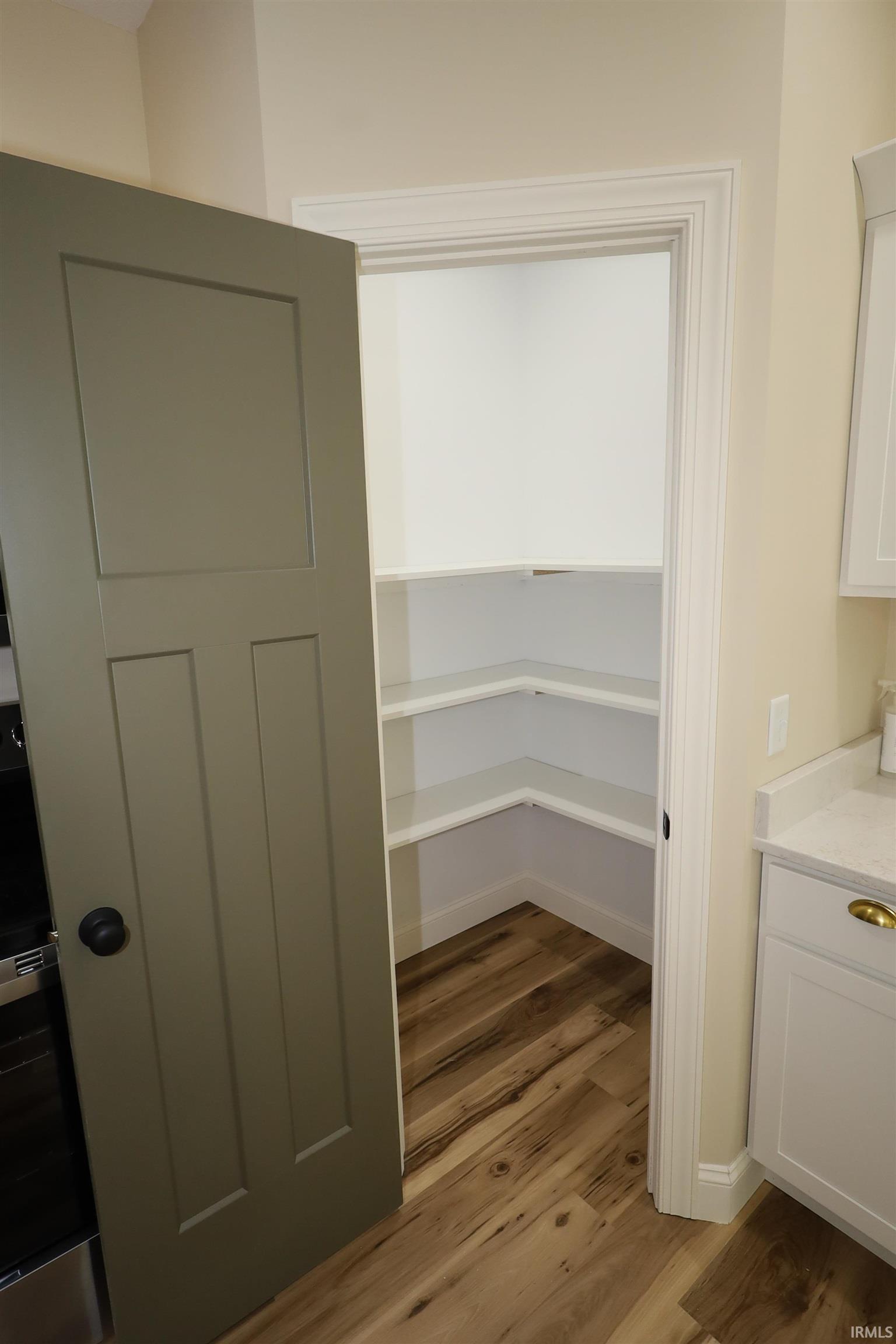 Walk-in pantry featuring corner shelving, wood-finish flooring, and a modern paneled door with a matte black knob