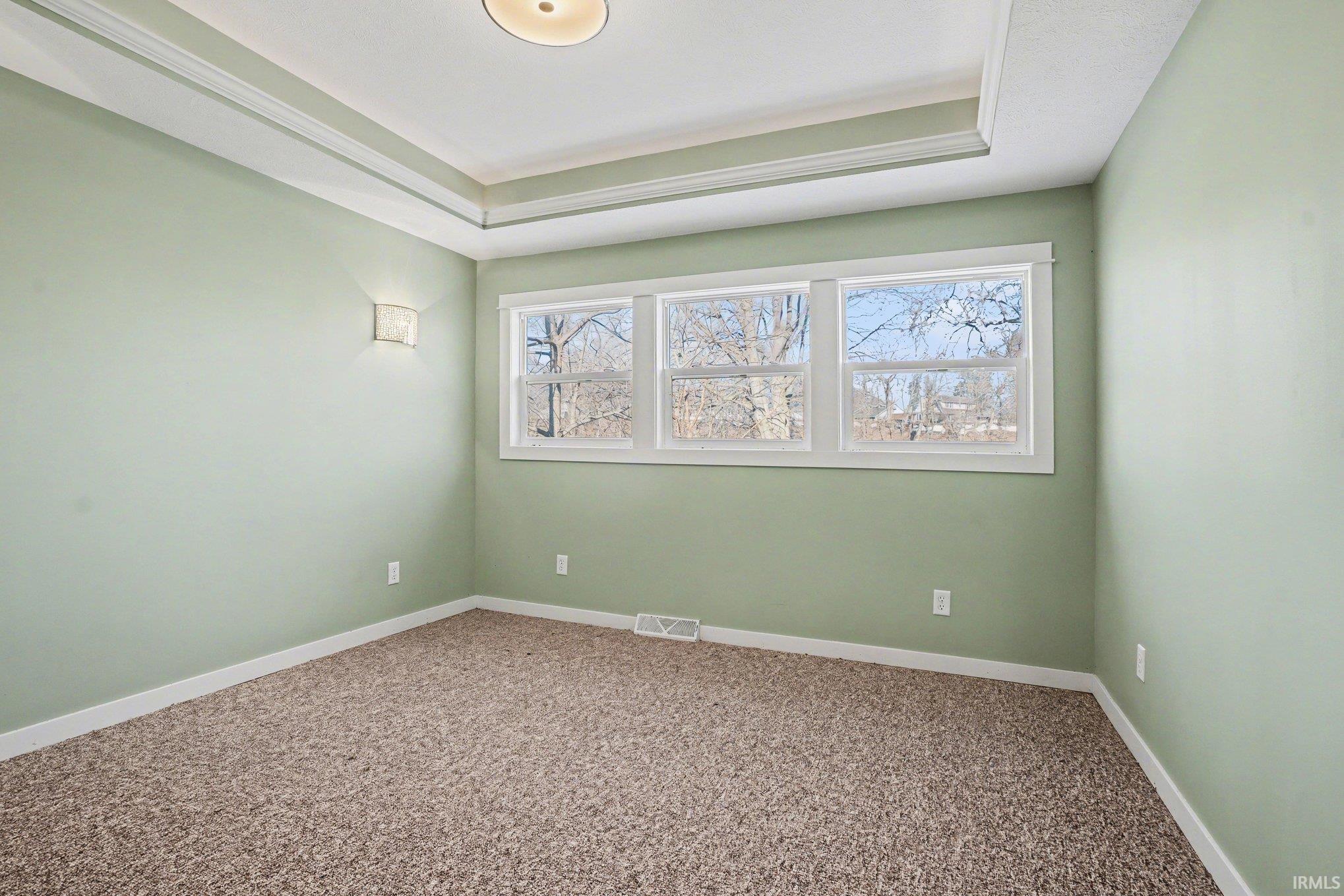 Unfurnished room featuring carpet floors and a raised ceiling