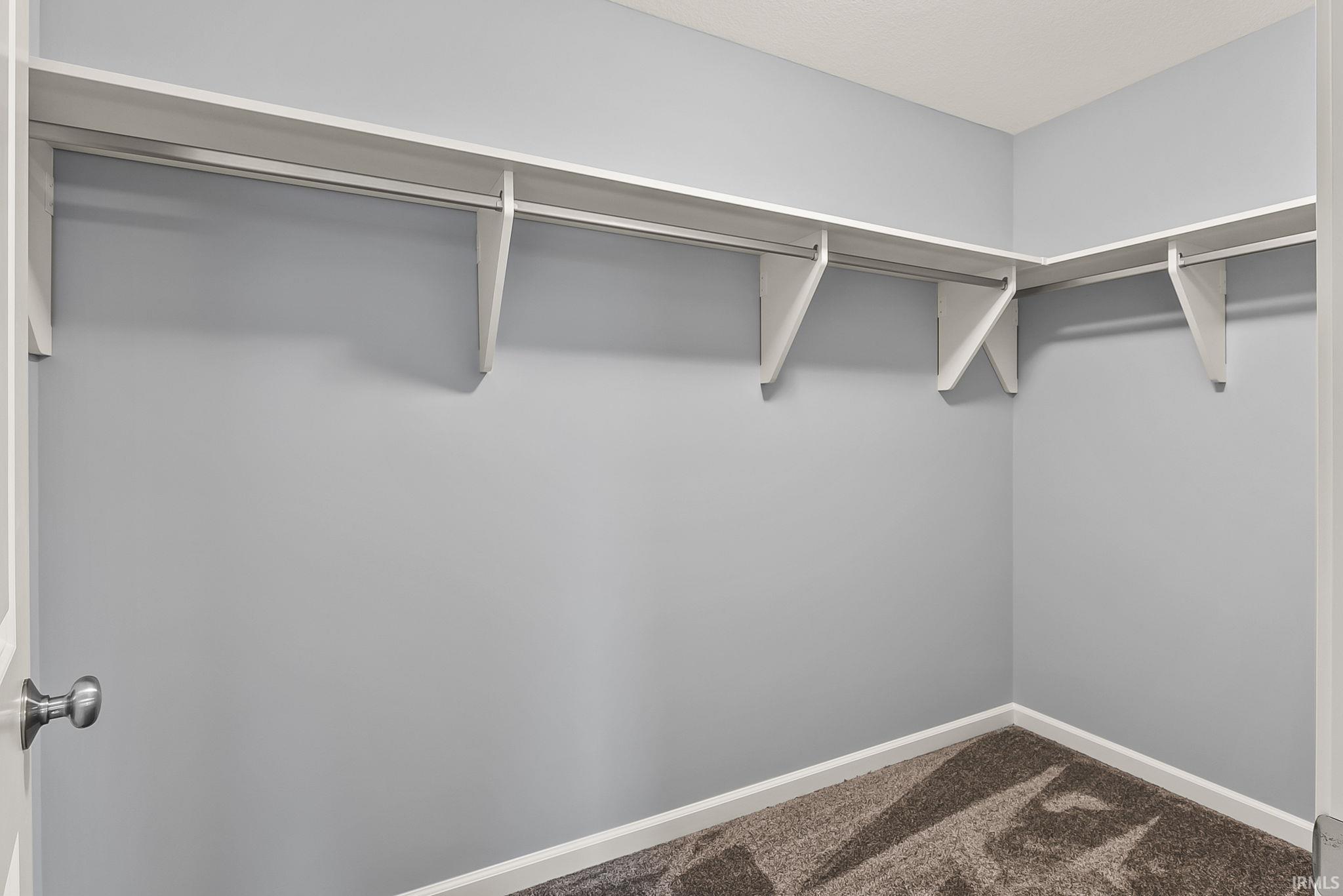 Walk-in closet featuring light blue walls, white trim, and a patterned carpet