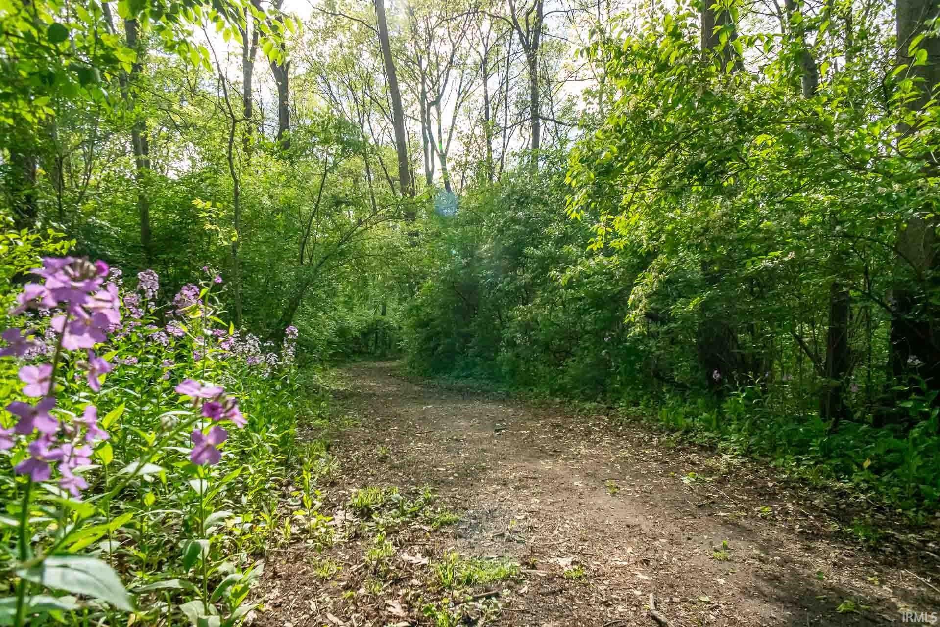 Wooded pathway featuring vibrant purple wildflowers and mature deciduous trees