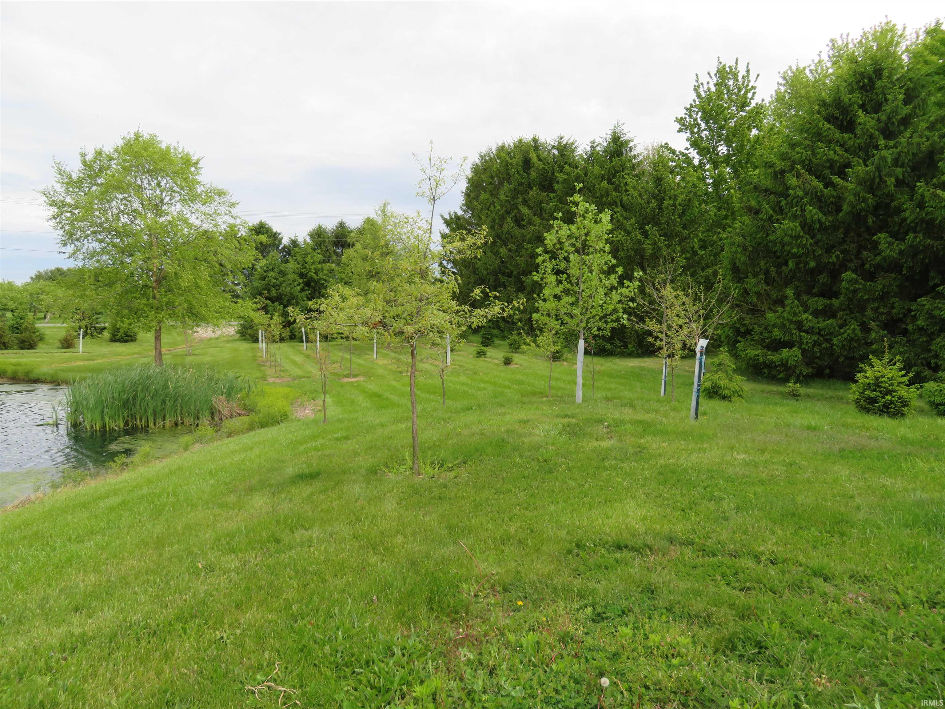 Photo 33 of 15670 County Road 42