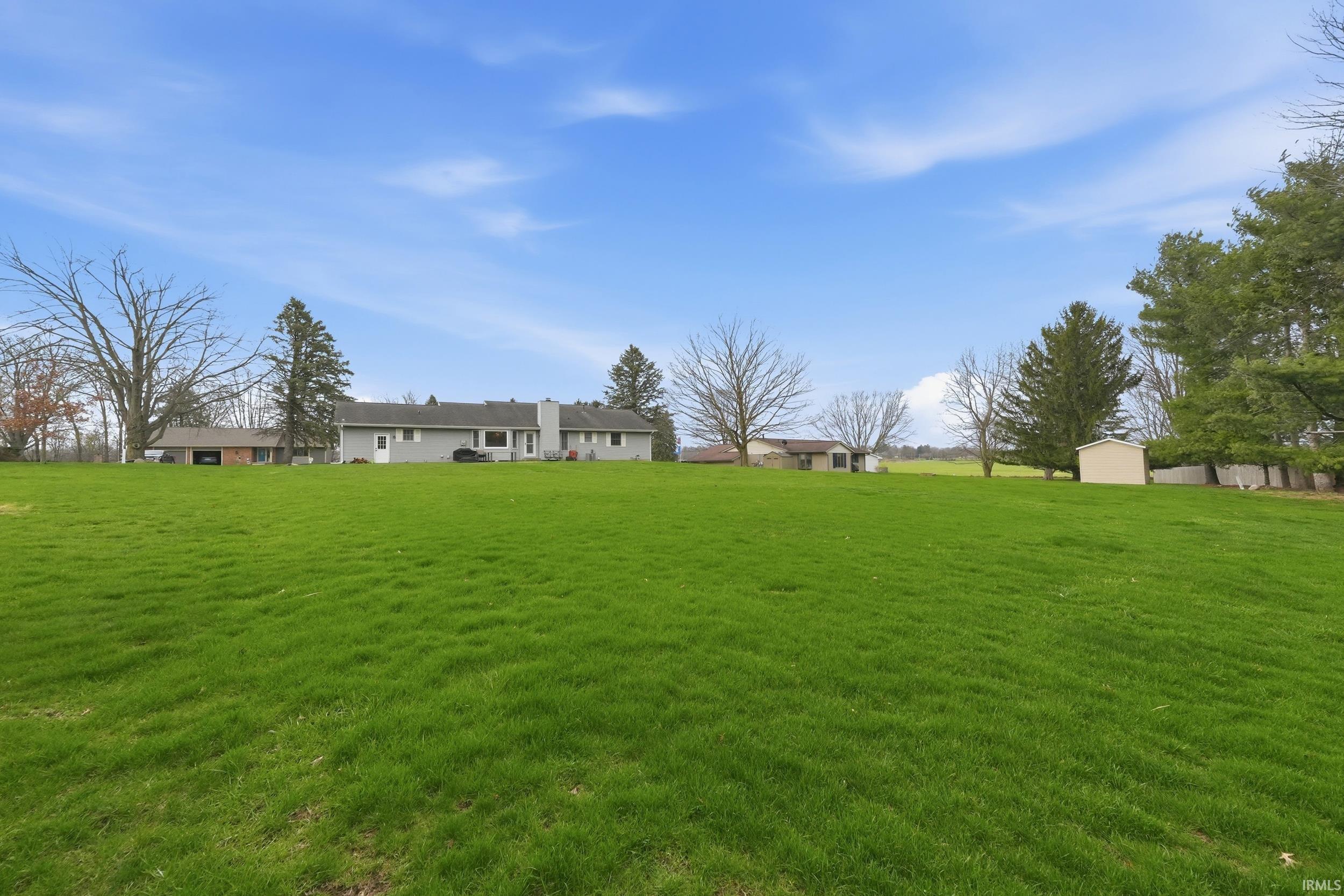 View of green lawn with a shed