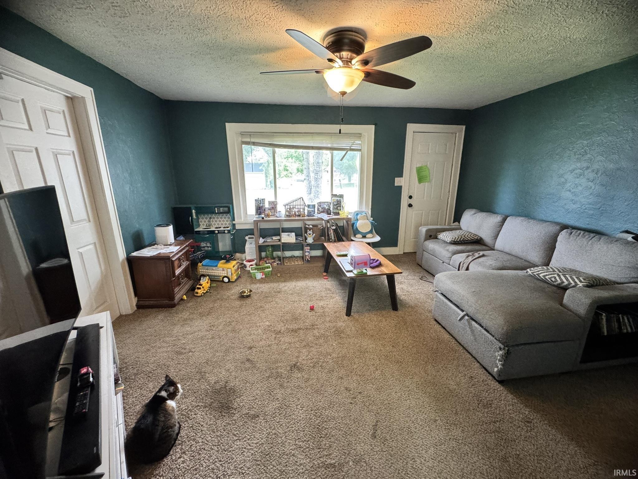 Room featuring wall-to-wall carpeting, textured teal walls, and a window providing natural light