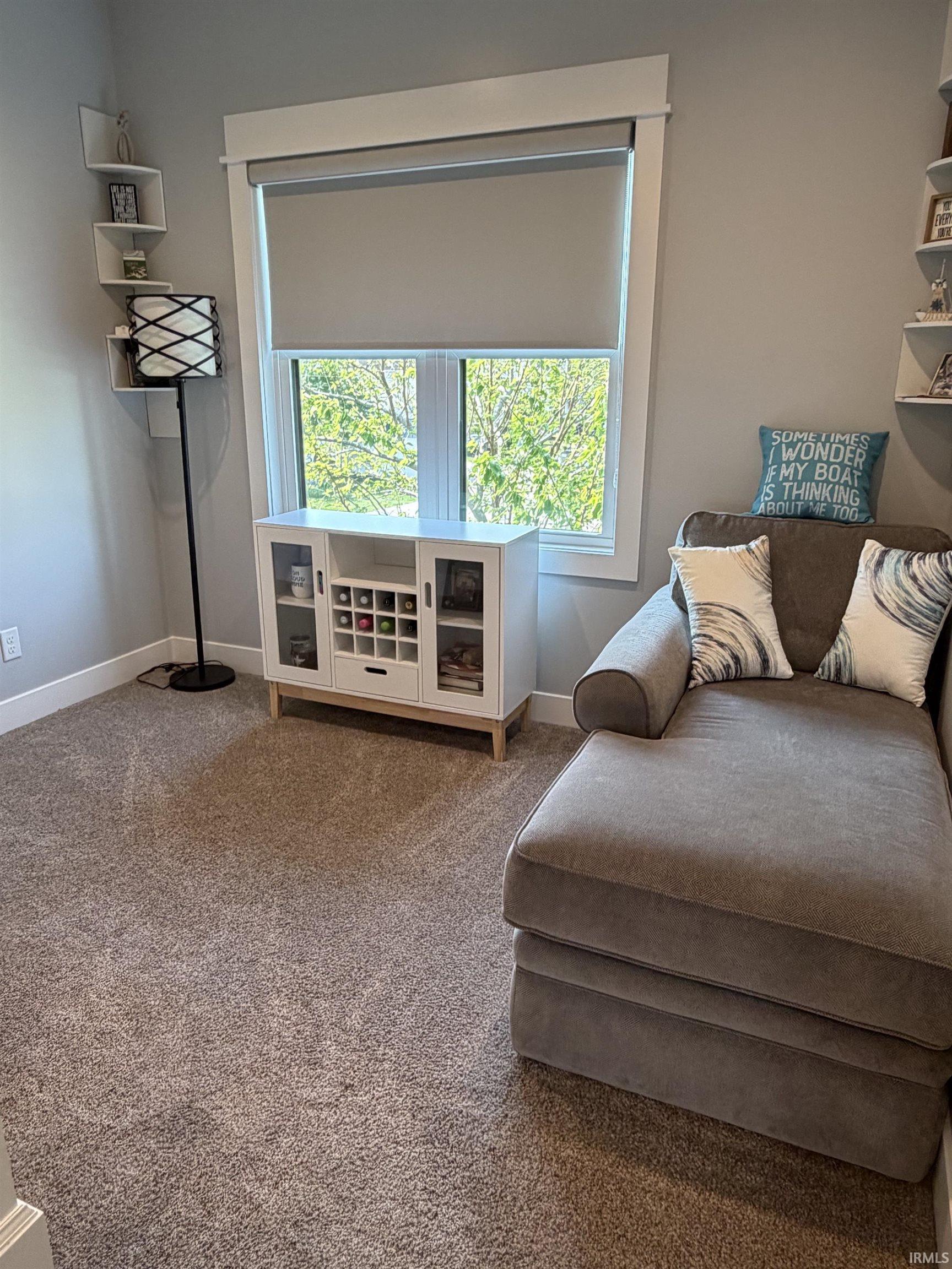 Carpeted interior space featuring a double window with roller shades, white trim, and a corner shelving unit