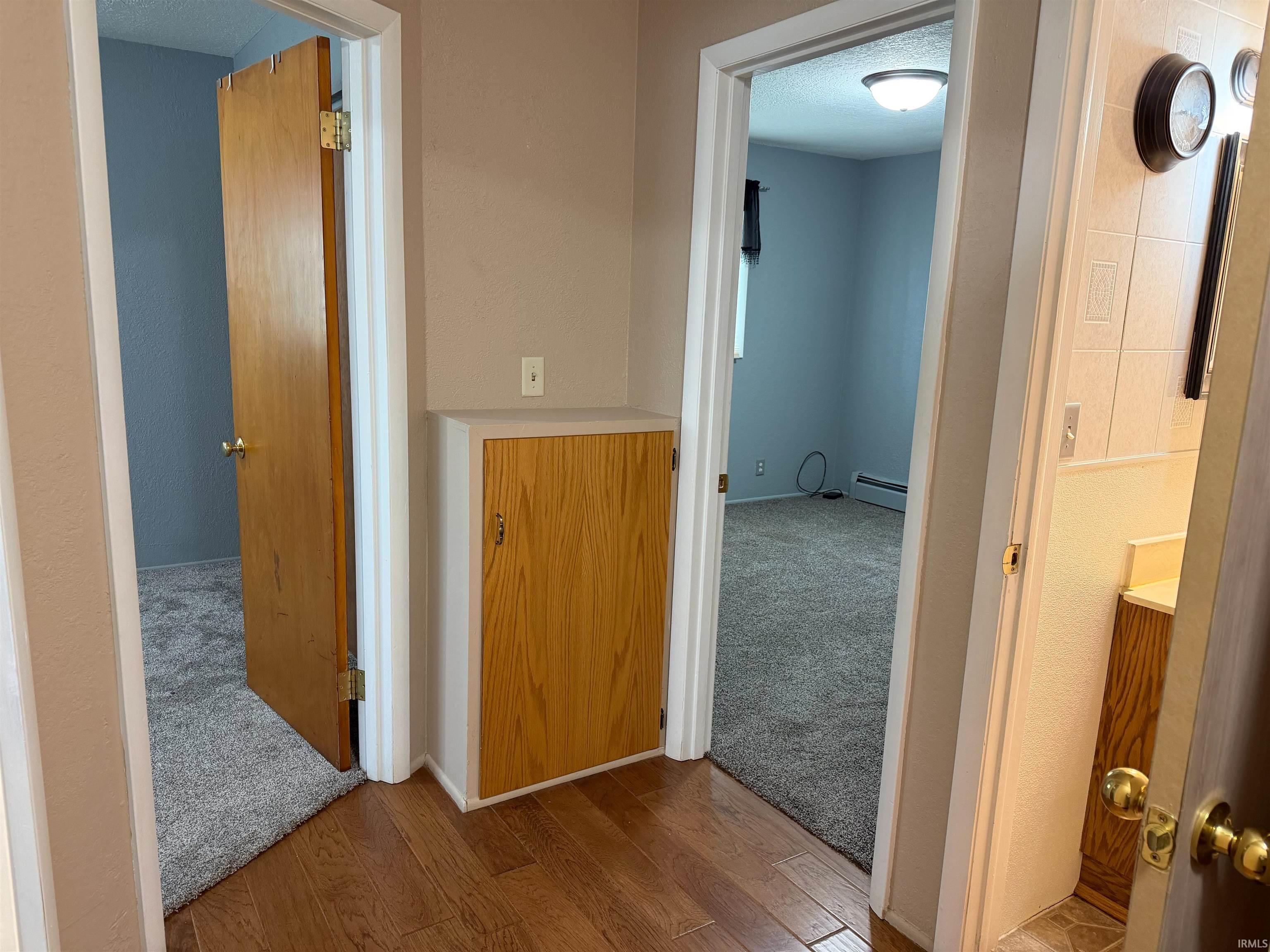 Hardwood-style flooring in the hallway with a built-in wood-finish cabinet