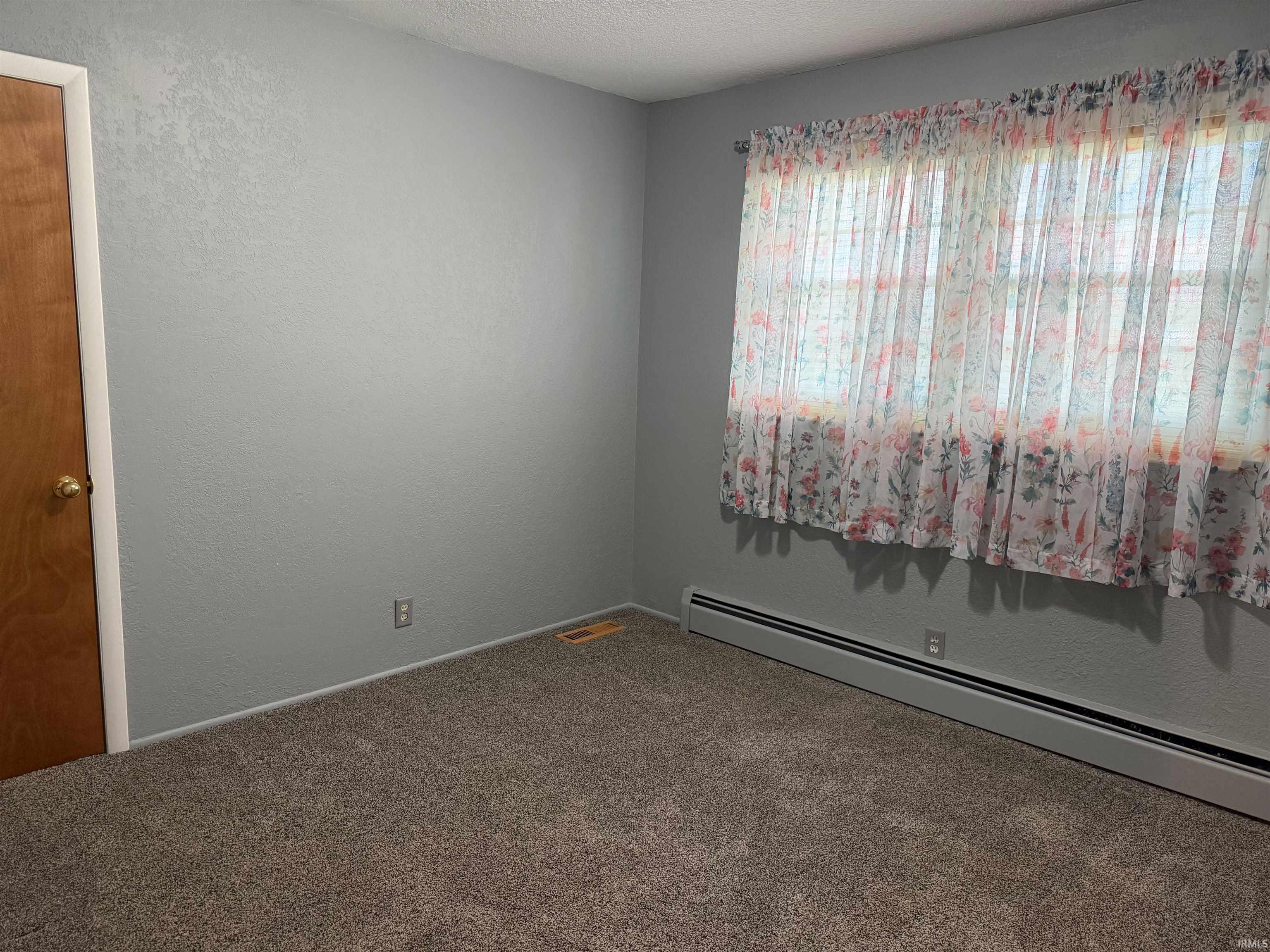 Carpeted room with a wooden door, grey textured walls, and a baseboard heating unit