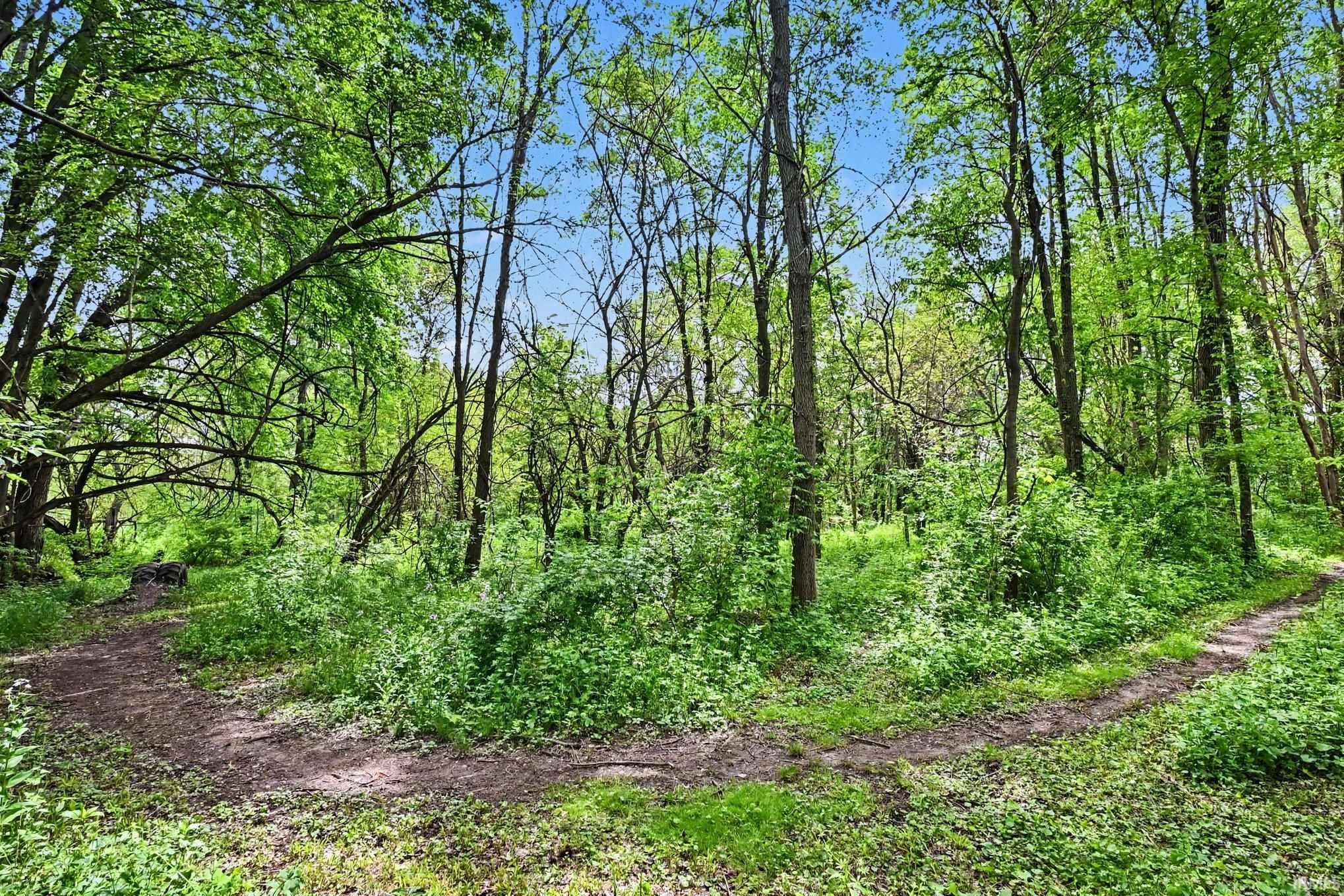 Wooded property featuring mature trees, verdant undergrowth, and a natural footpath