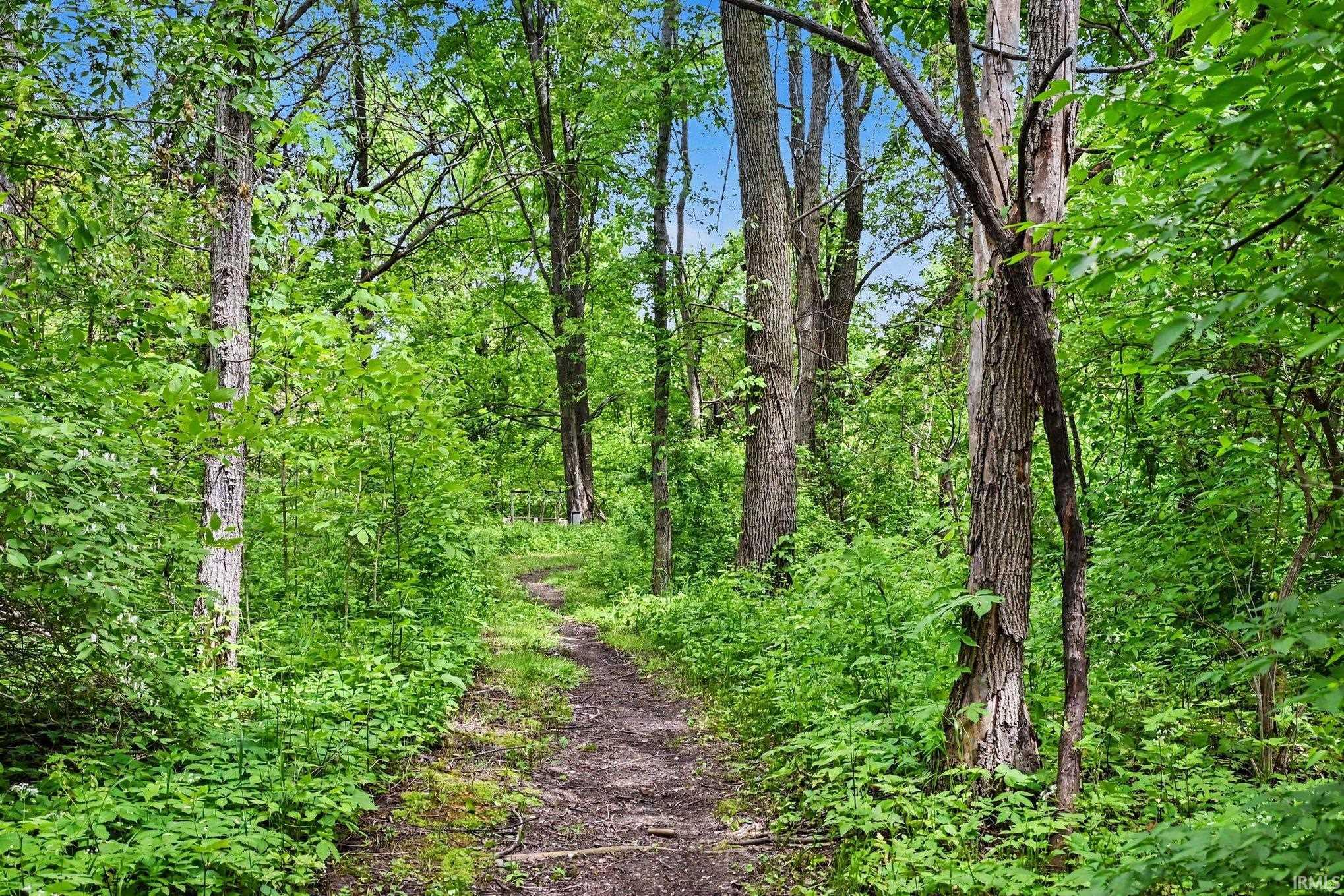 Wooded landscape featuring a winding dirt path