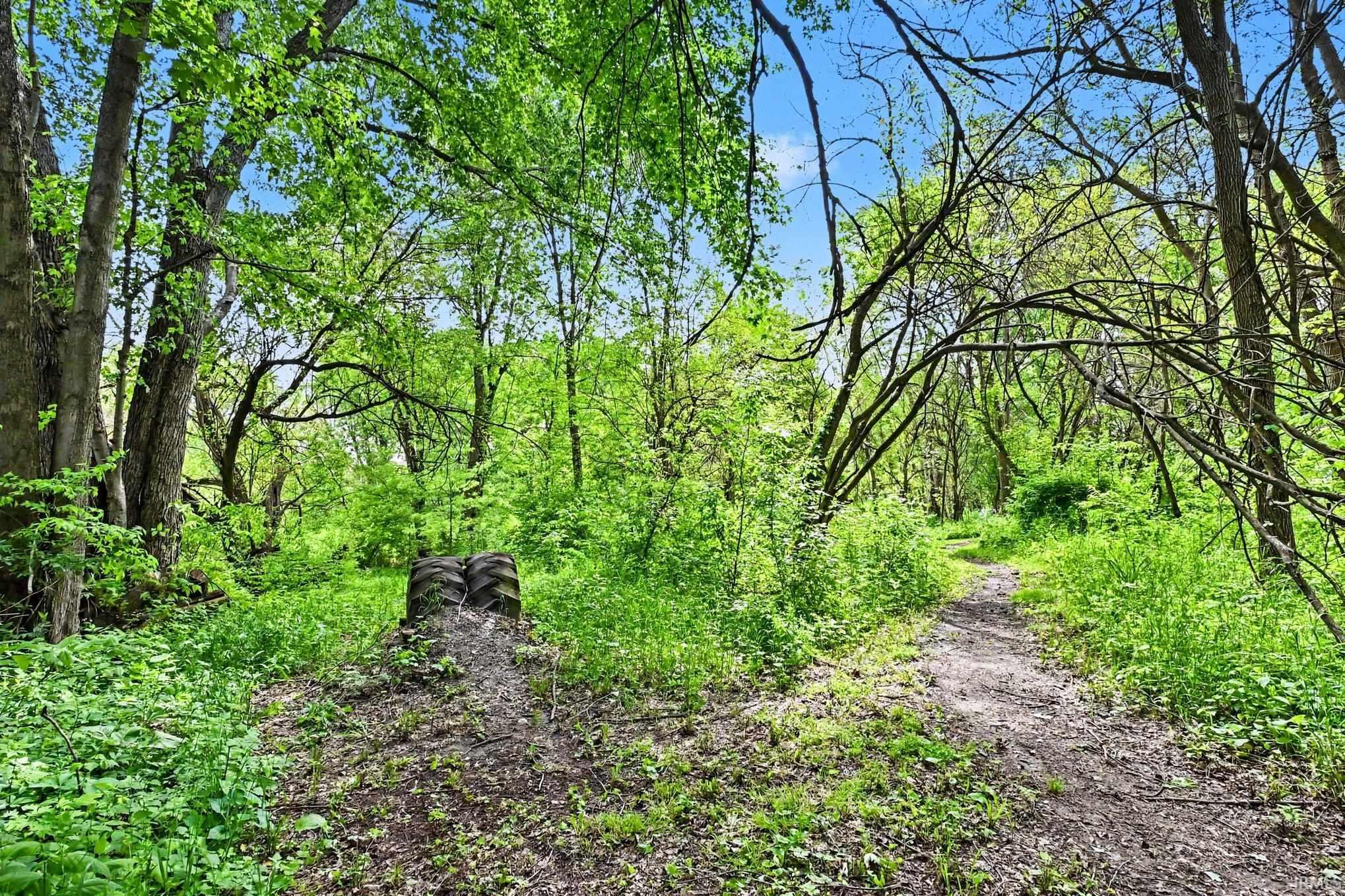 Wooded landscape featuring mature trees and a natural path