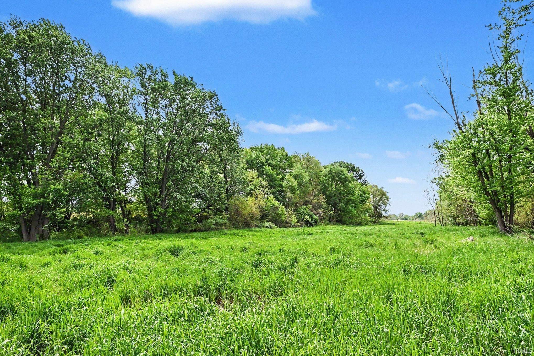 Expansive grassy field with mature trees bordering the perimeter under a bright blue sky