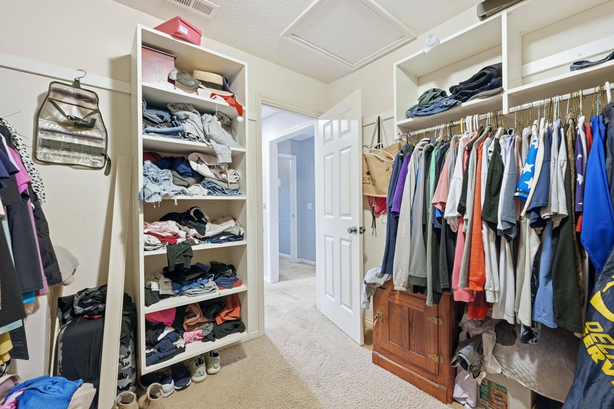 Walk-in closet featuring carpet flooring, built-in shelving, and hanging rods