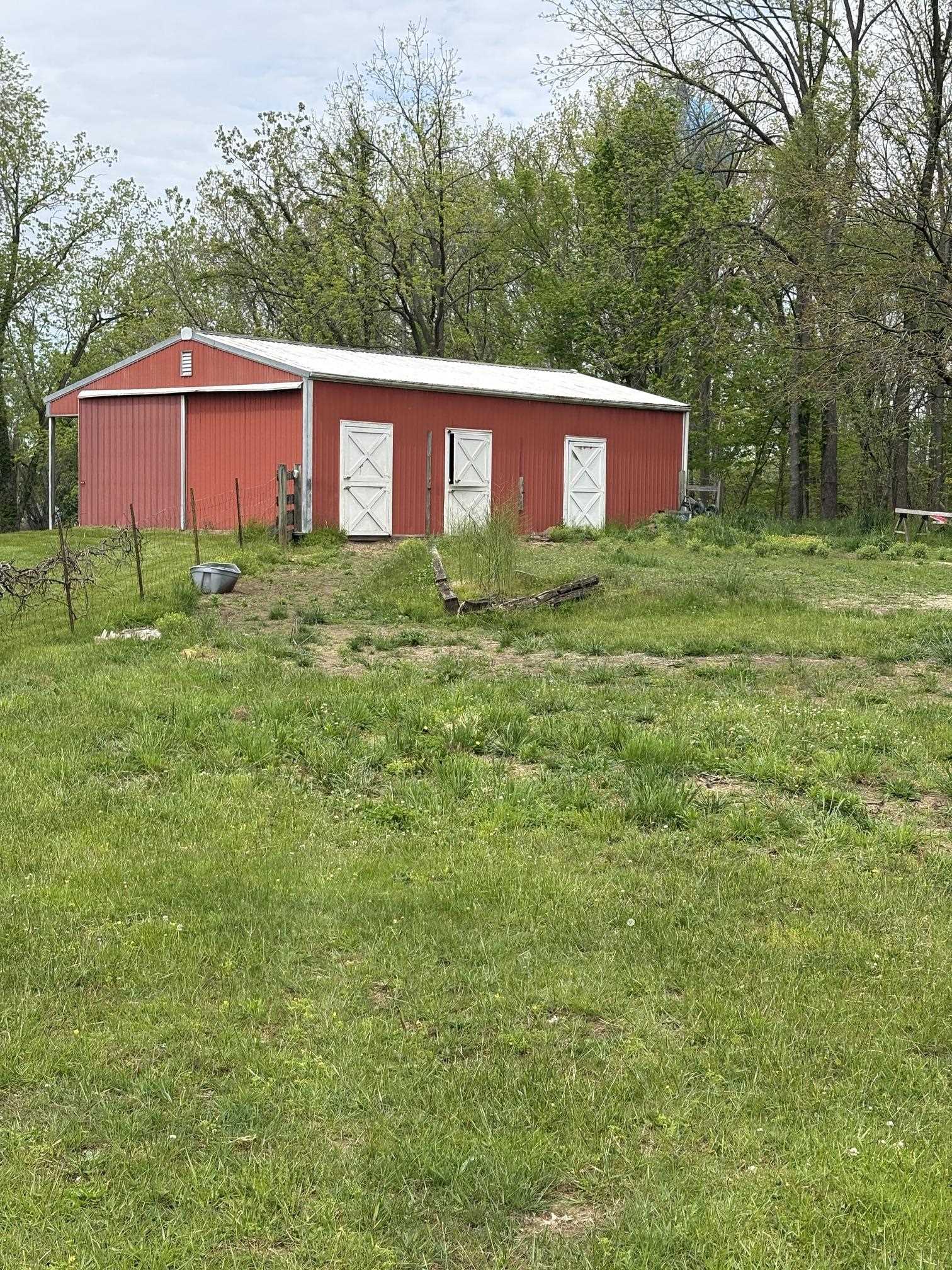 VIEW FROM THE PASTURE