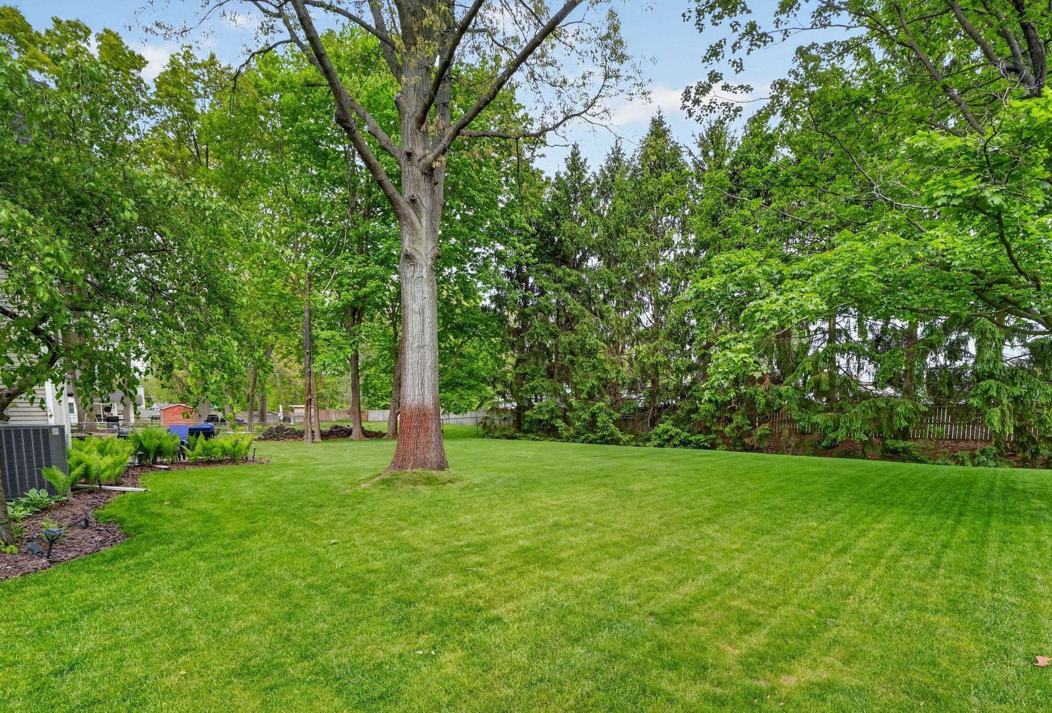 Expansive lawn area featuring a mature tree, perimeter landscaping, and lush foliage