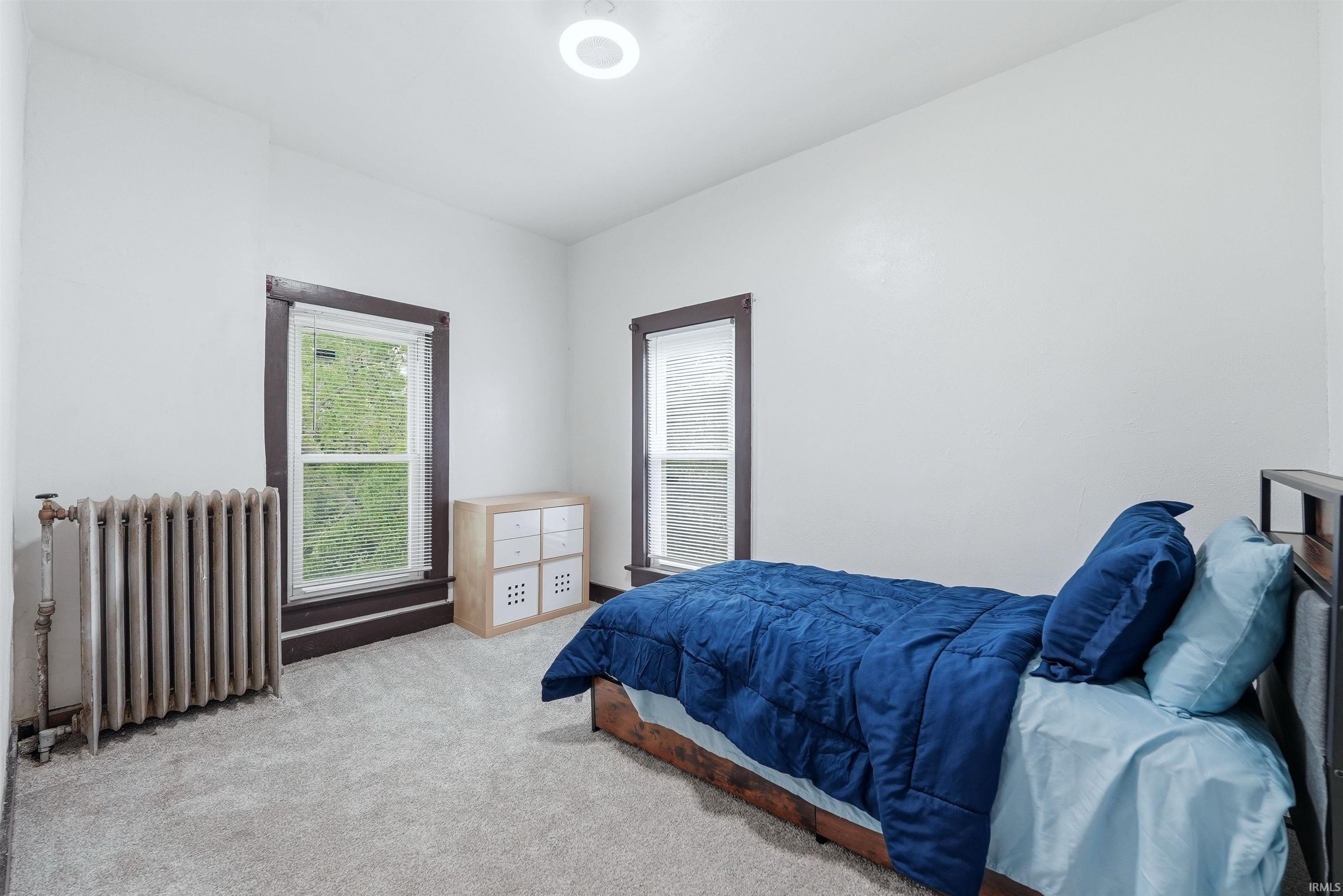 Carpeted room featuring multiple windows with dark trim, a ceiling-mounted light fixture, and a radiator
