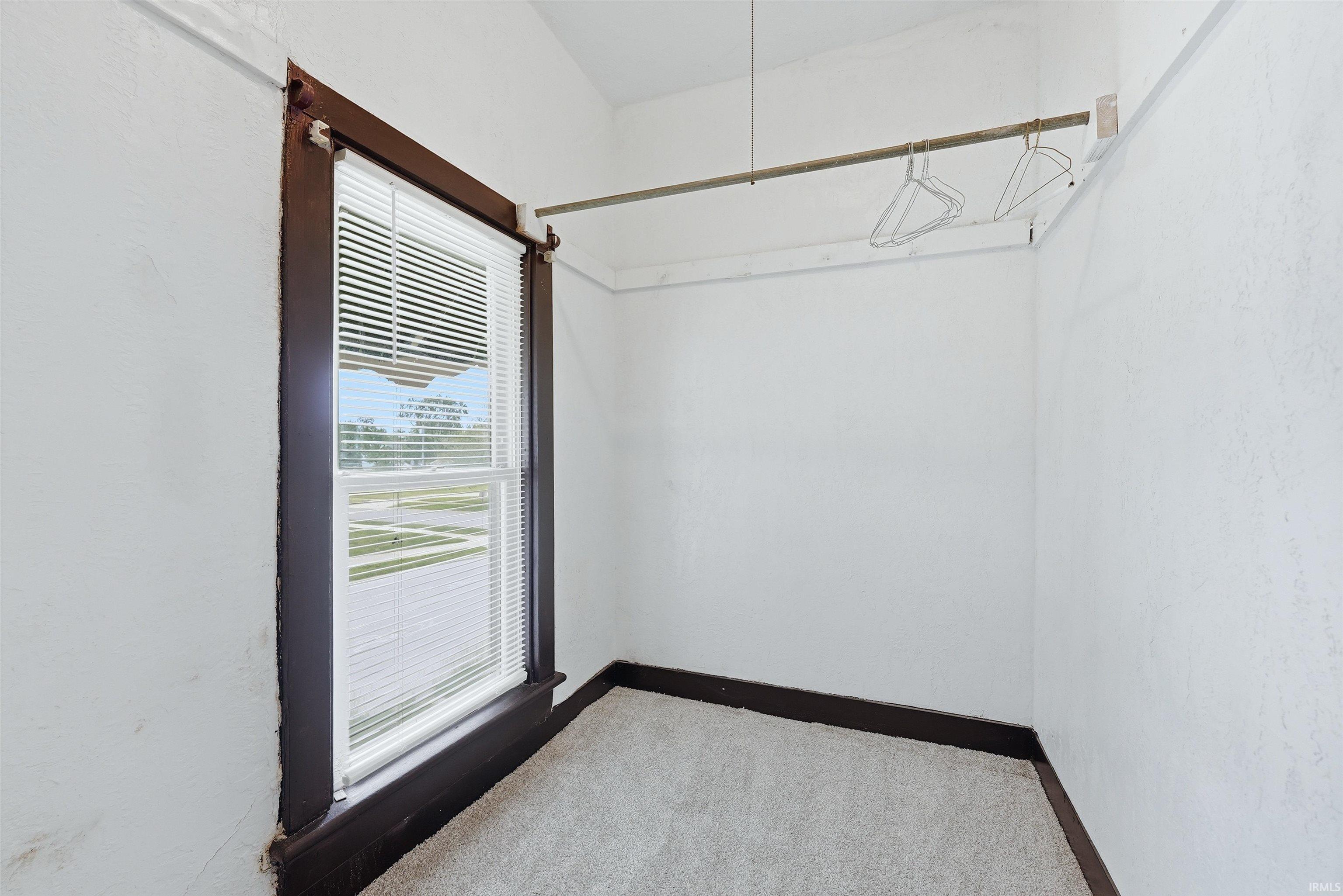 Windowed walk in closet featuring white textured walls, dark wood-finish trim, and light-toned carpet flooring