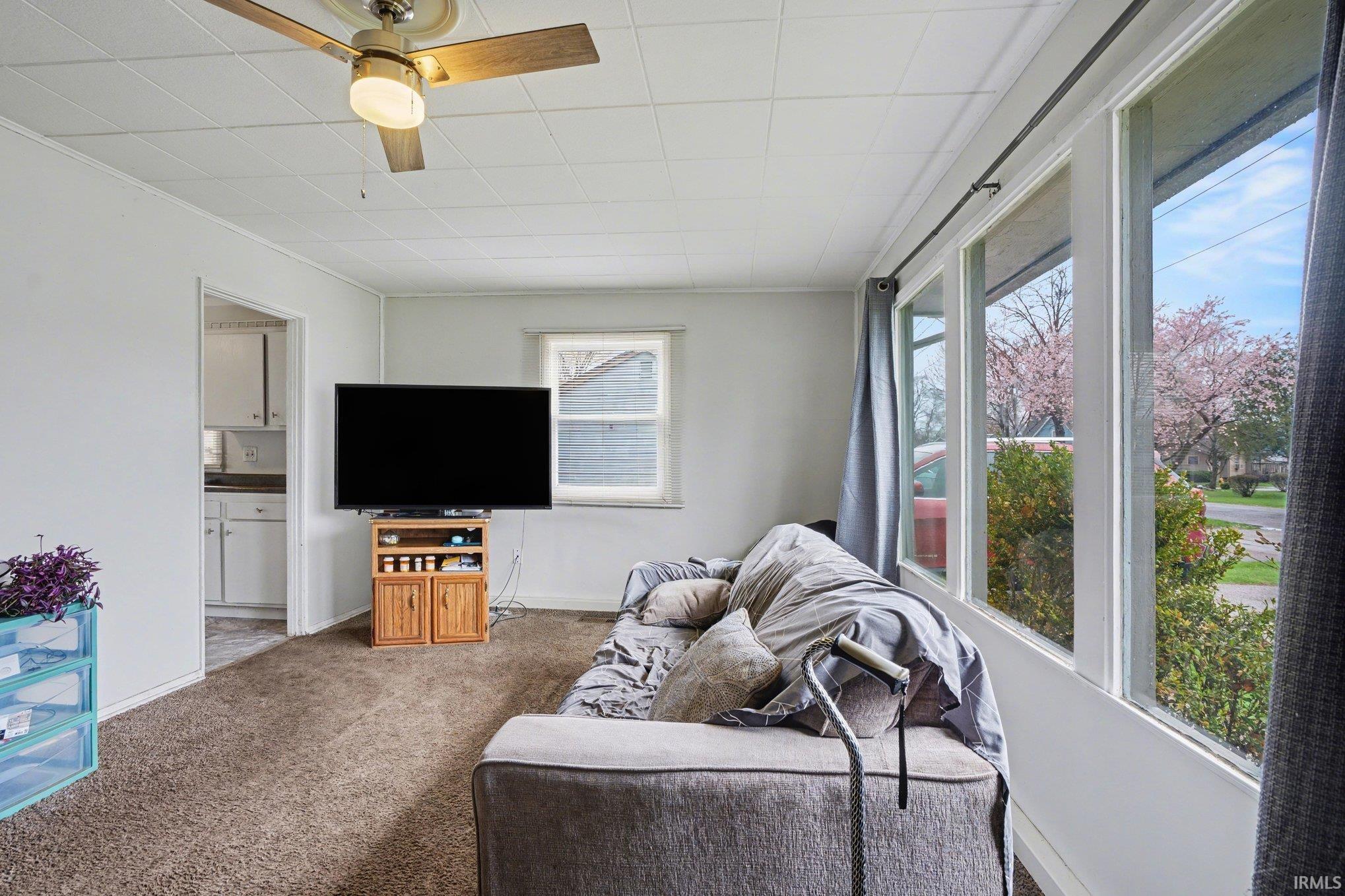 Living space featuring a multi-pane window, flush-mount ceiling fan, light-toned walls, and brown carpeting