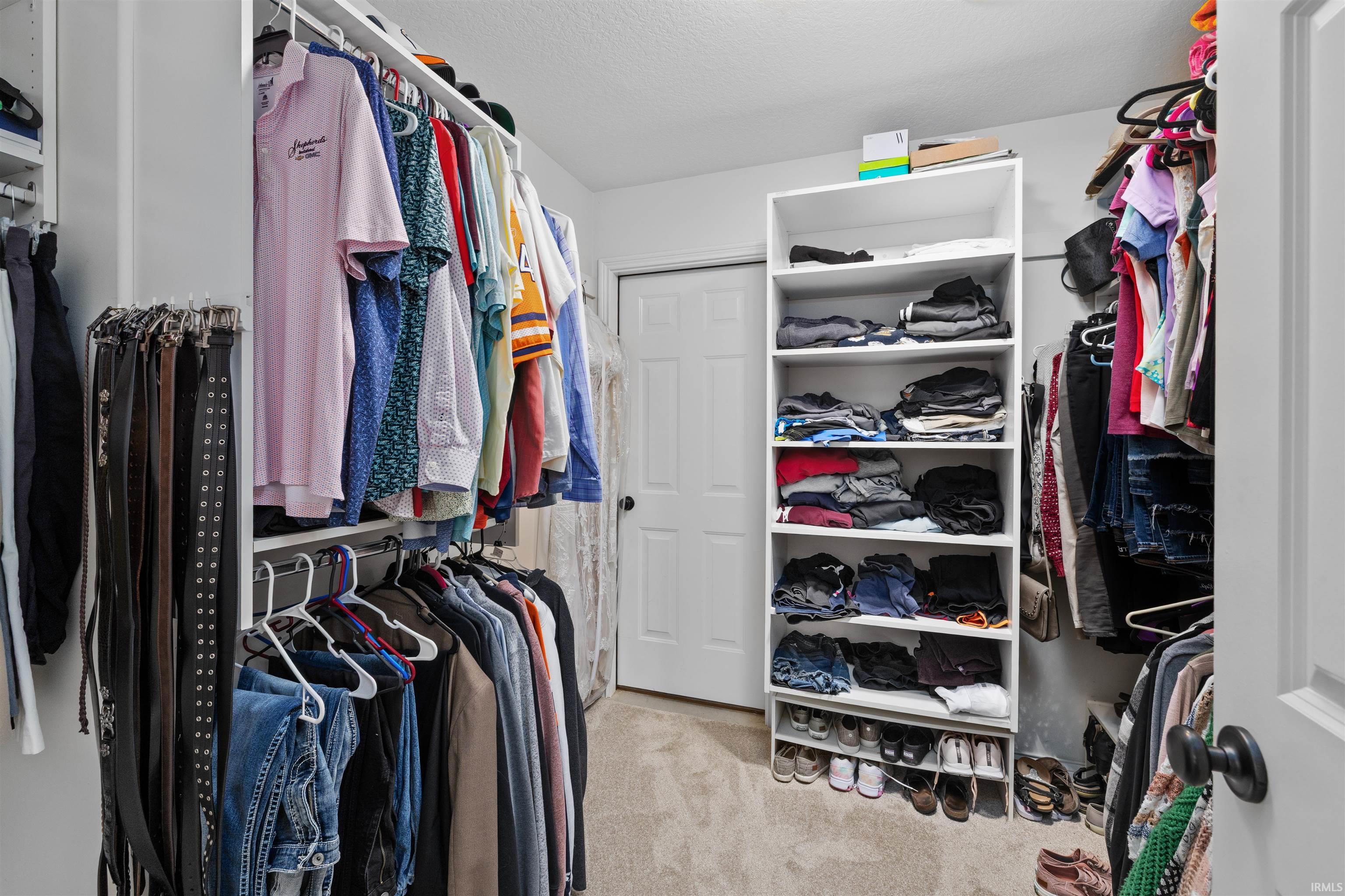 Walk-in closet featuring carpet flooring, built-in shelving, and multiple clothing rods