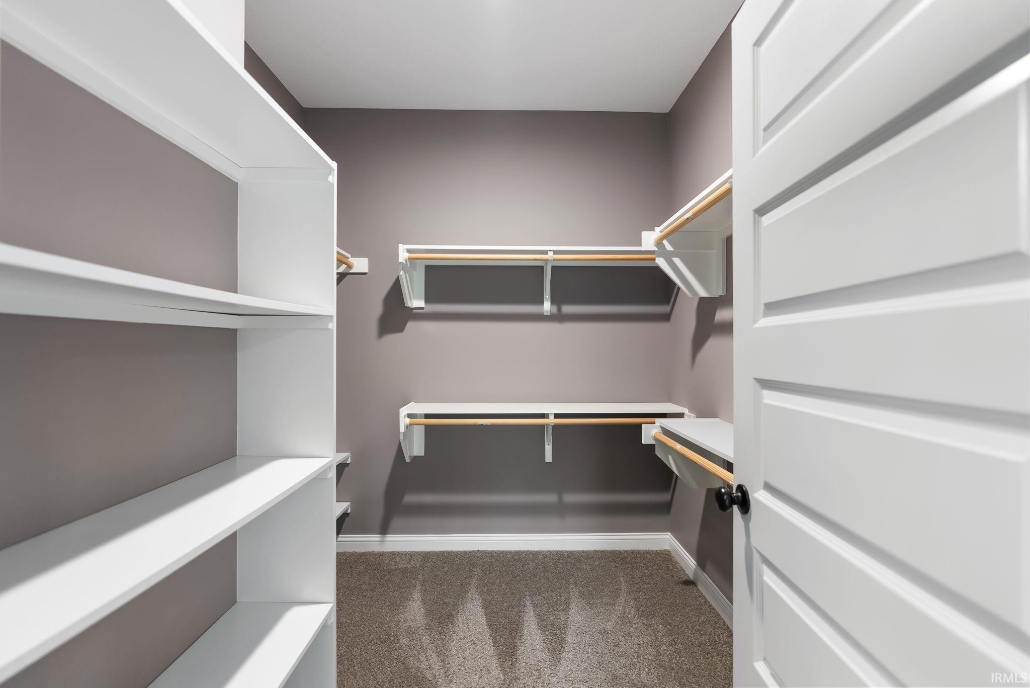 Walk-in closet featuring built-in white shelving, wood-finish hanging rods, gray painted walls, and gray carpet flooring