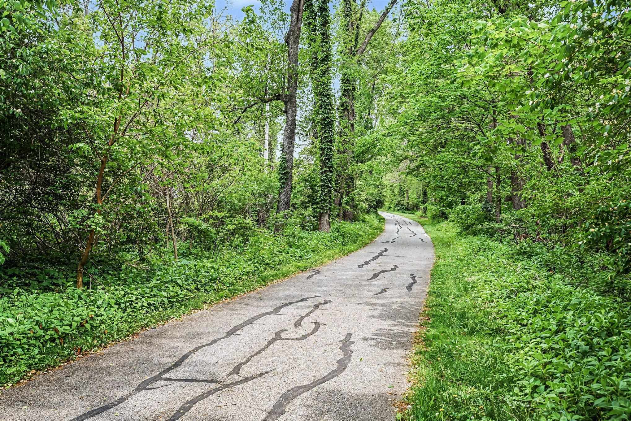Paved pathway winding through dense, vibrant green foliage and mature trees