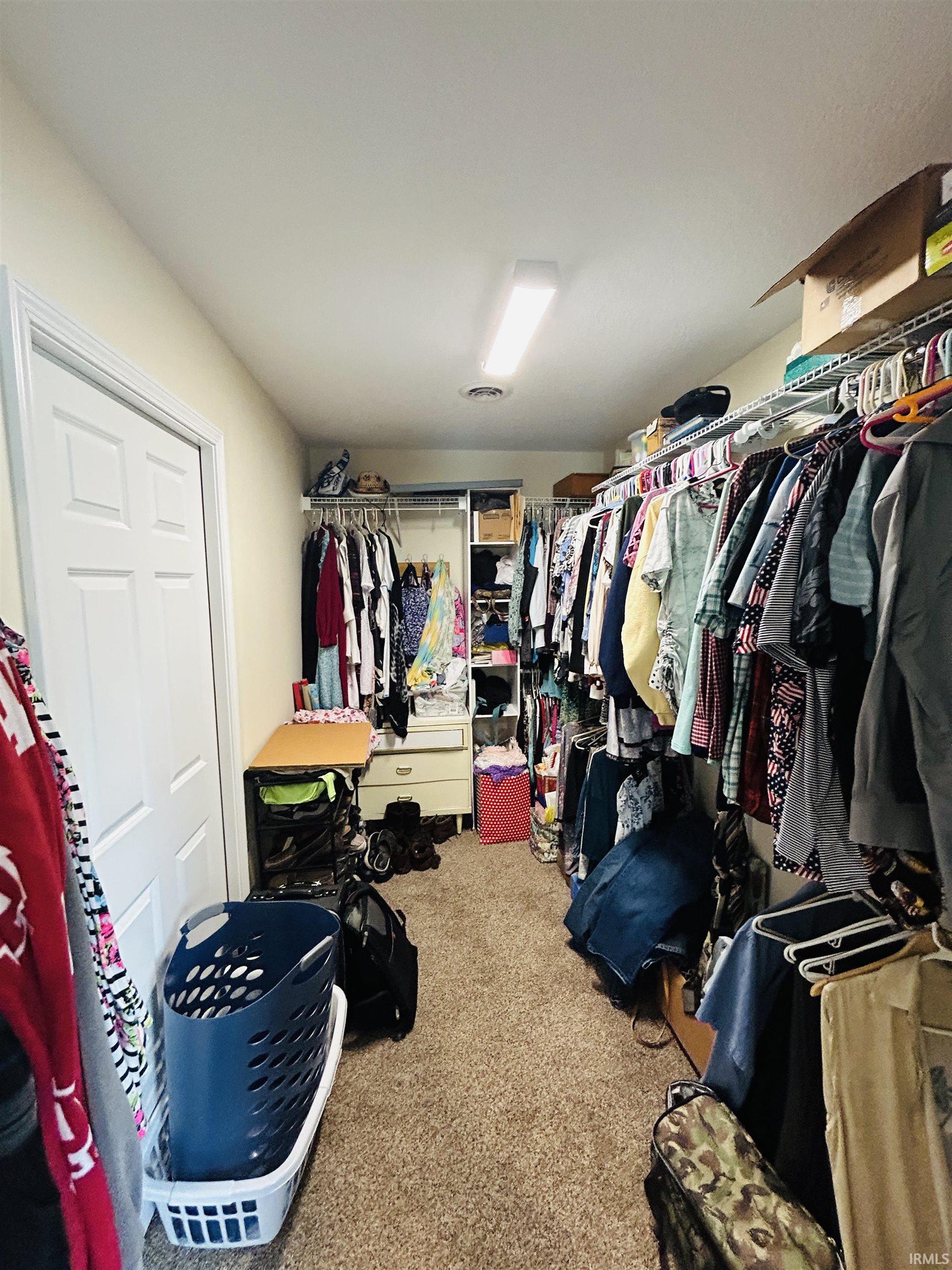 Carpeted closet with ample hanging storage, shelving, and a built-in dresser
