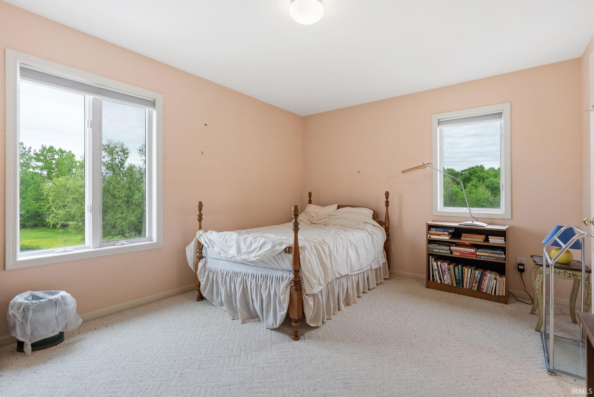 Carpeted room with a large double-hung window and a smaller single-hung window, both featuring white frames
