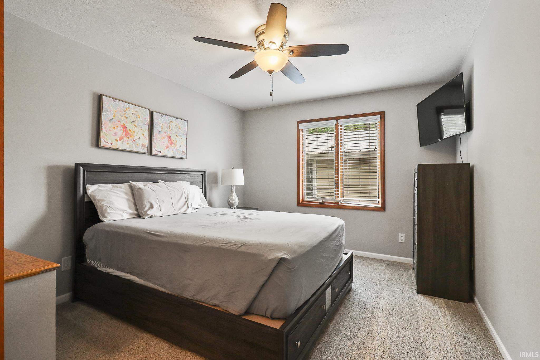 Neutral gray walls complement the carpeted flooring