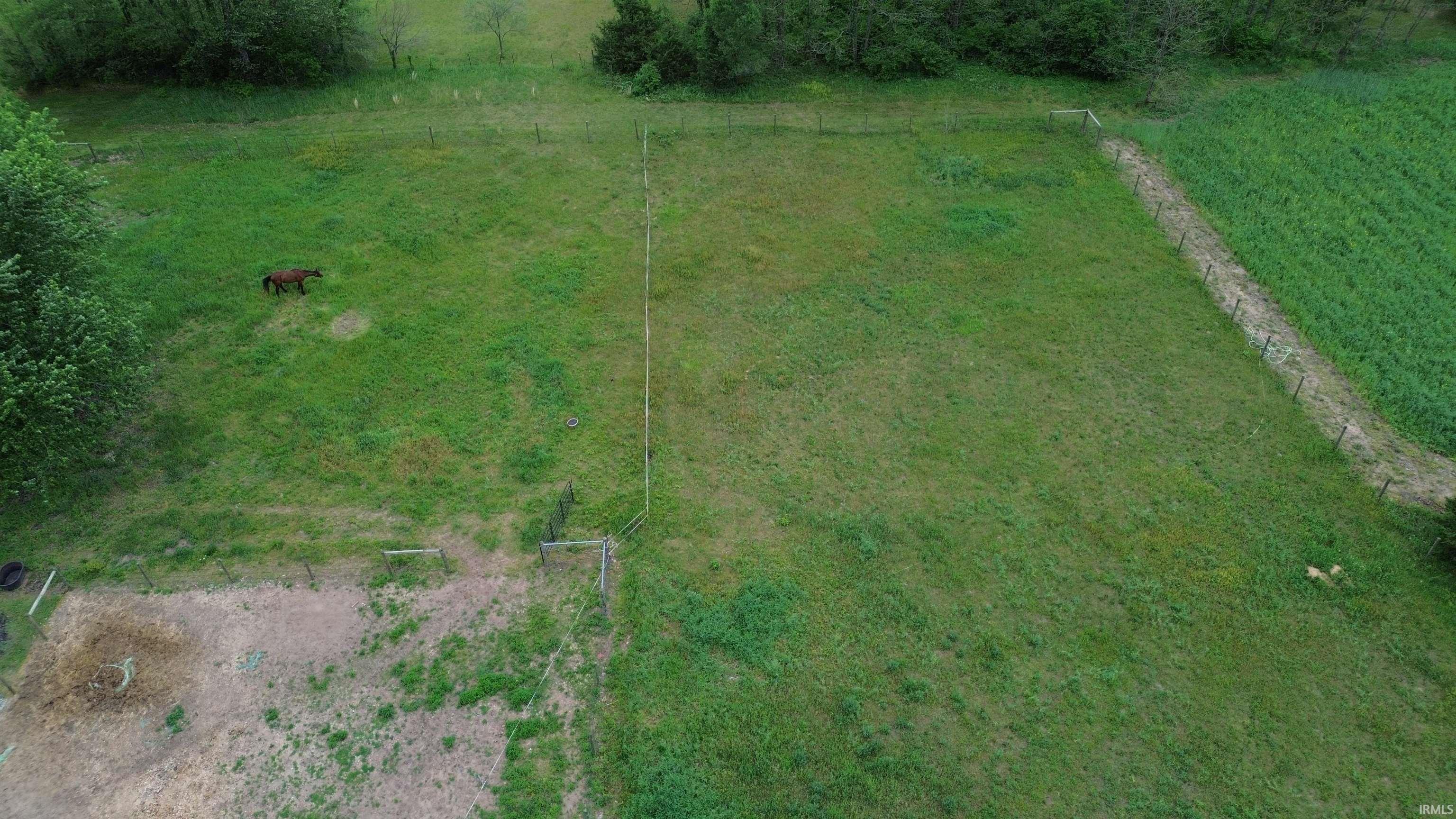 Expansive green pastureland bordered by established fencing and mature trees
