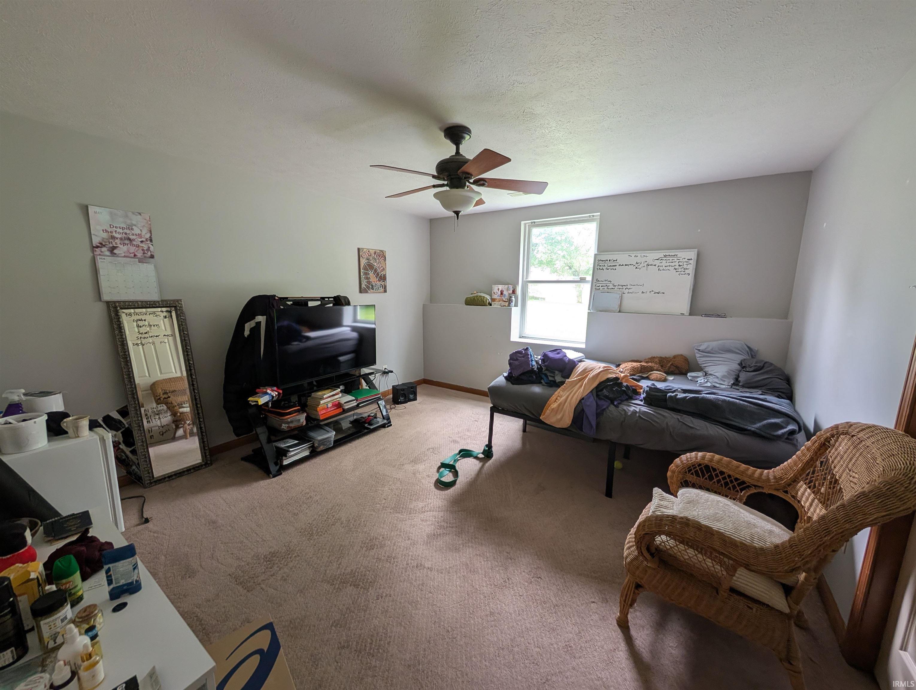 Carpeted room featuring a ceiling fan with light fixture, natural light from a window, and light-colored walls