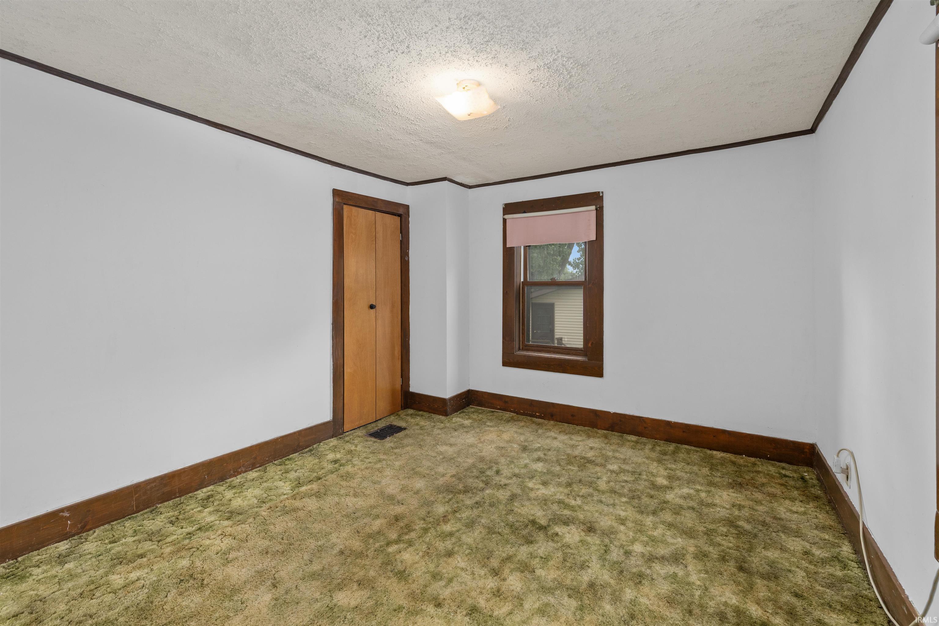 White walls with dark wood trim, green carpet, and a bi-fold closet door
